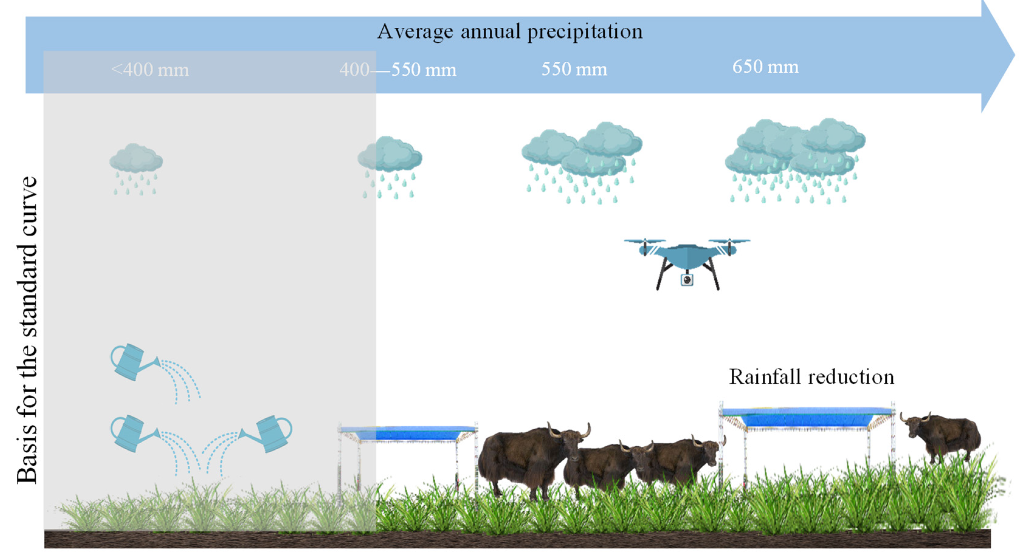 Agronomy 13 02193 g003 Agronomy 13 02193 g003