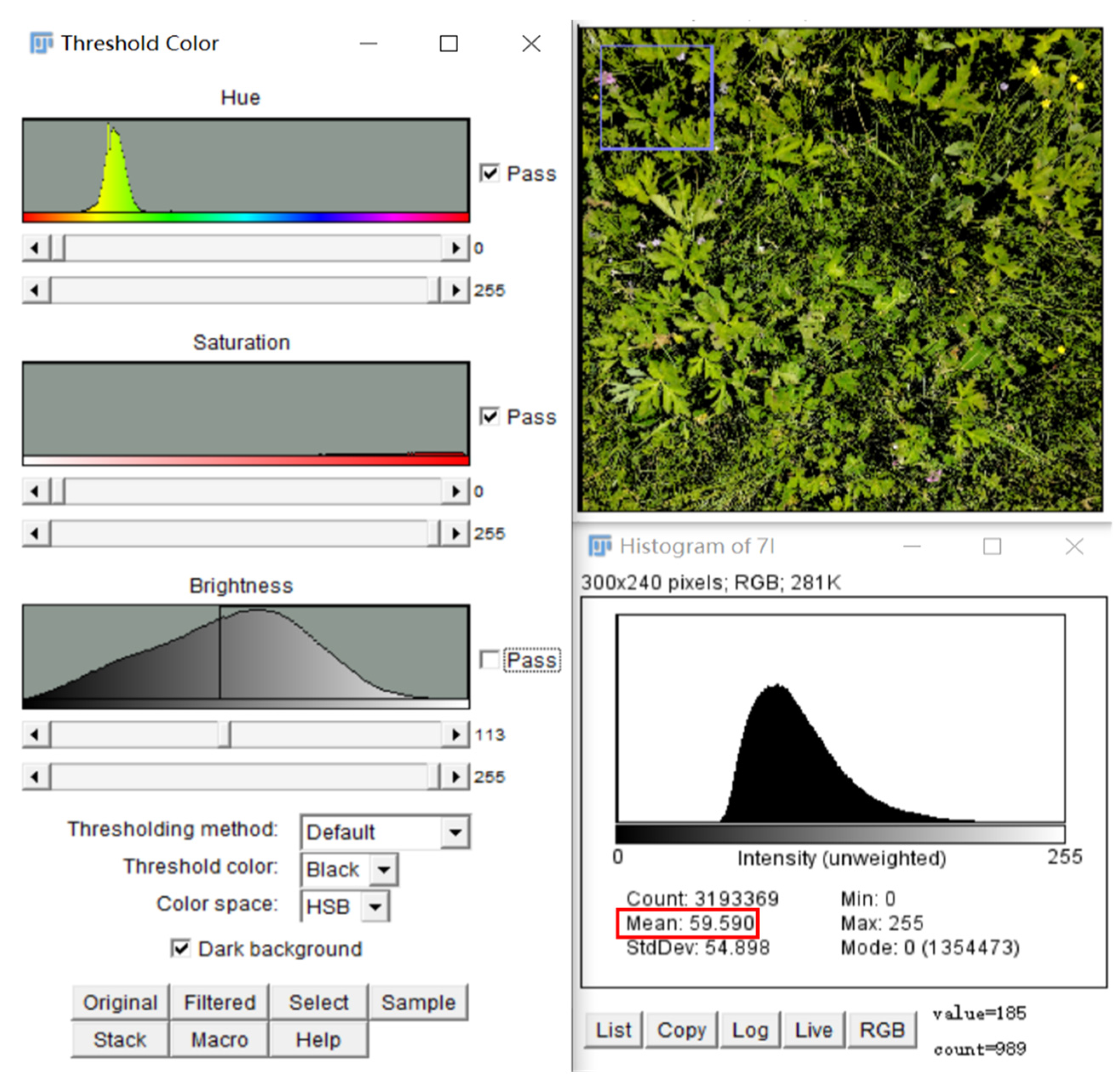 Agronomy 13 02193 g006 Agronomy 13 02193 g006
