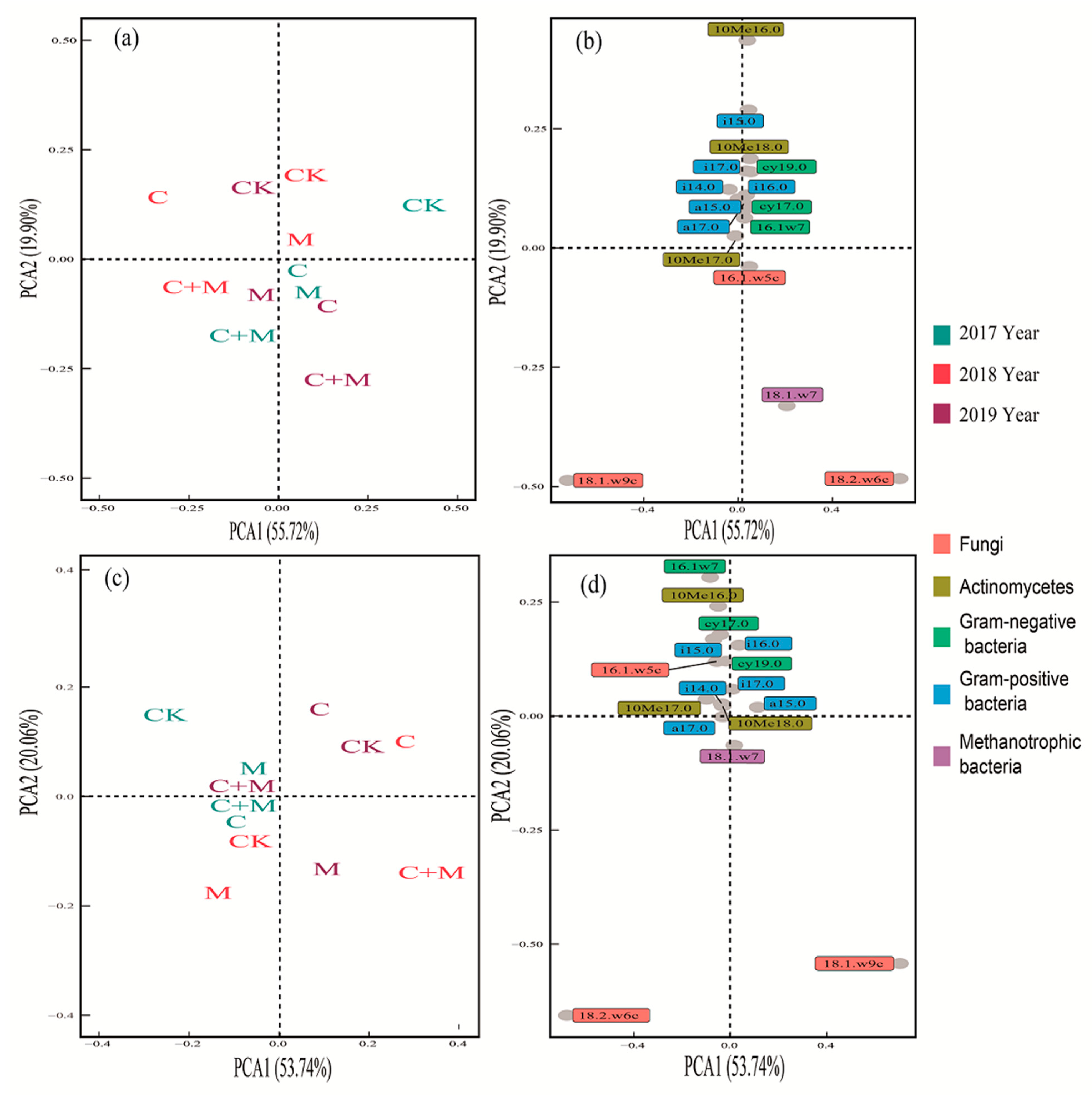 Agronomy 13 02203 g003