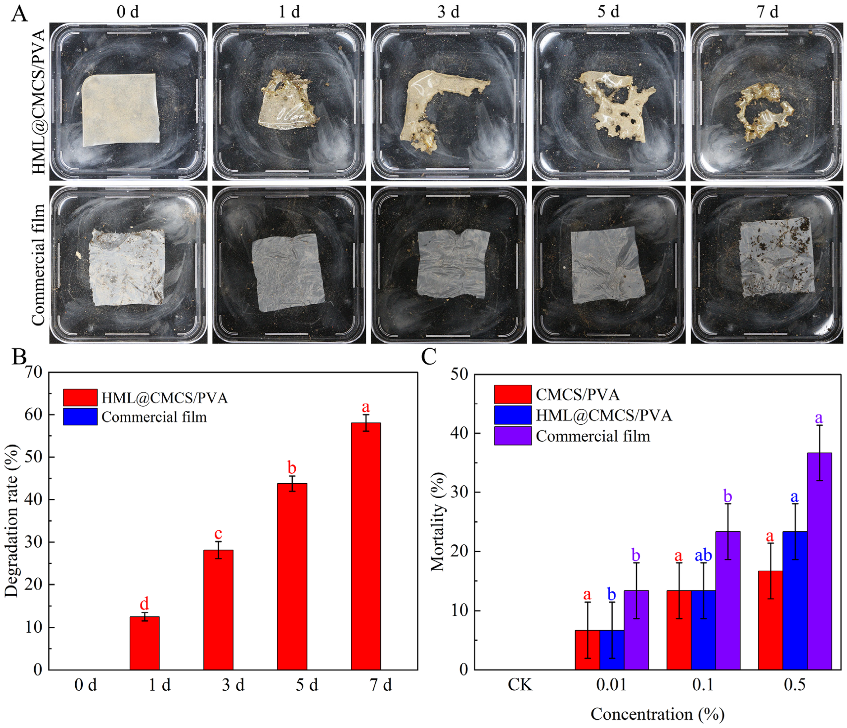 Agronomy 13 02205 g007