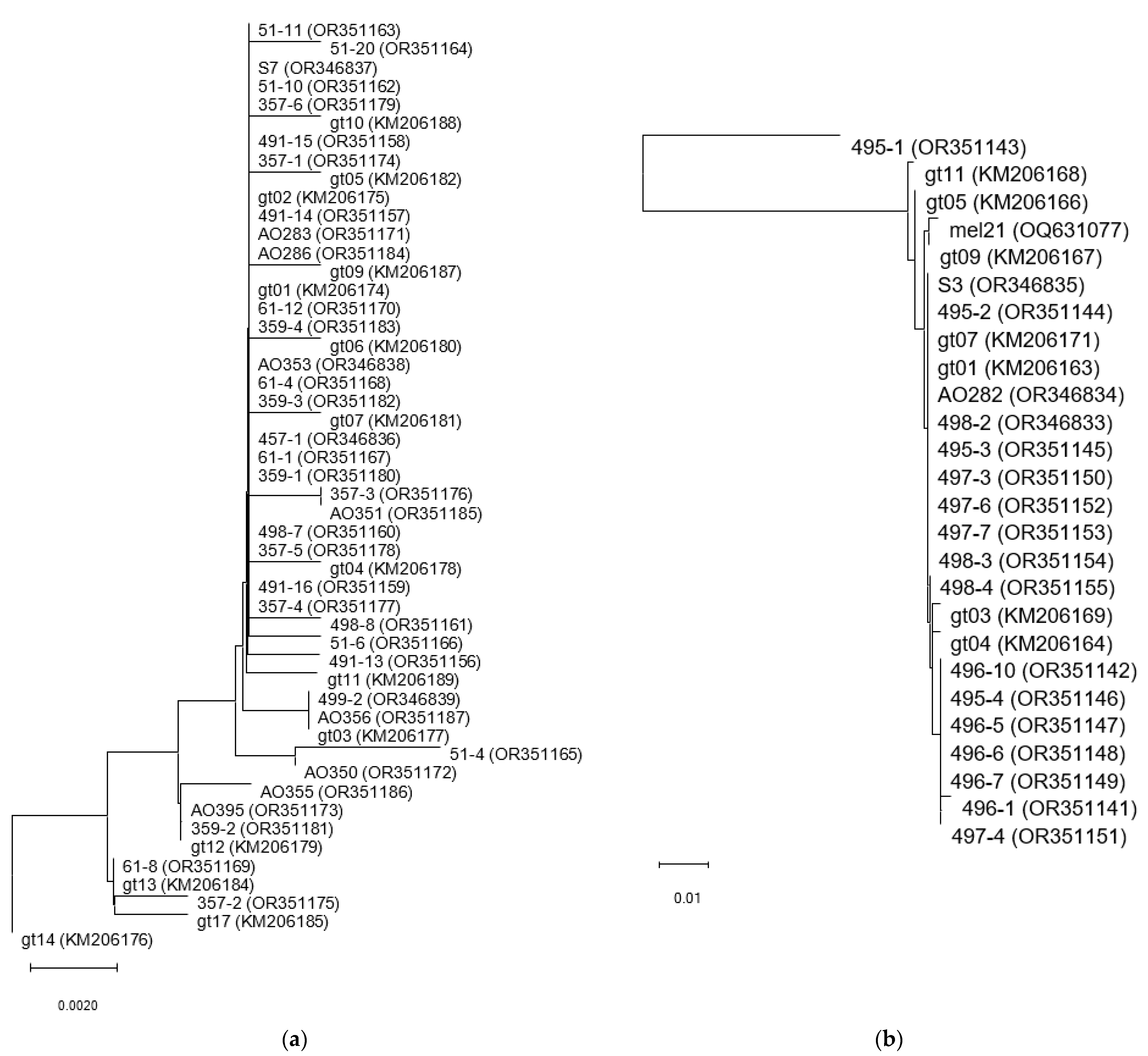 Agronomy 13 02210 g004 Agronomy 13 02210 g004