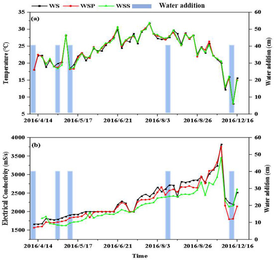 Agronomy | Free Full-Text | Influence of Sediment, Plants, and 