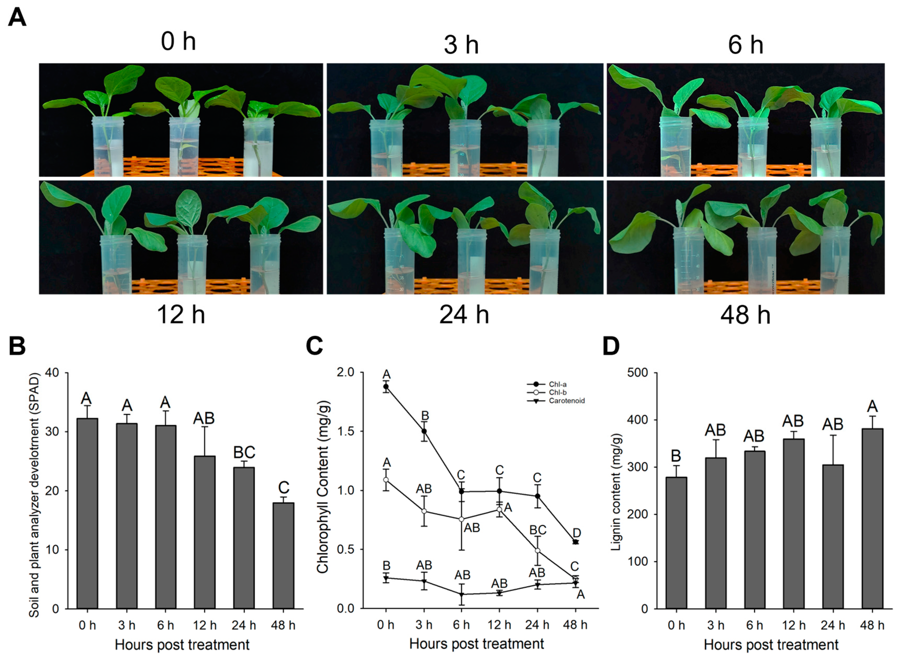 Agronomy 13 02215 g001
