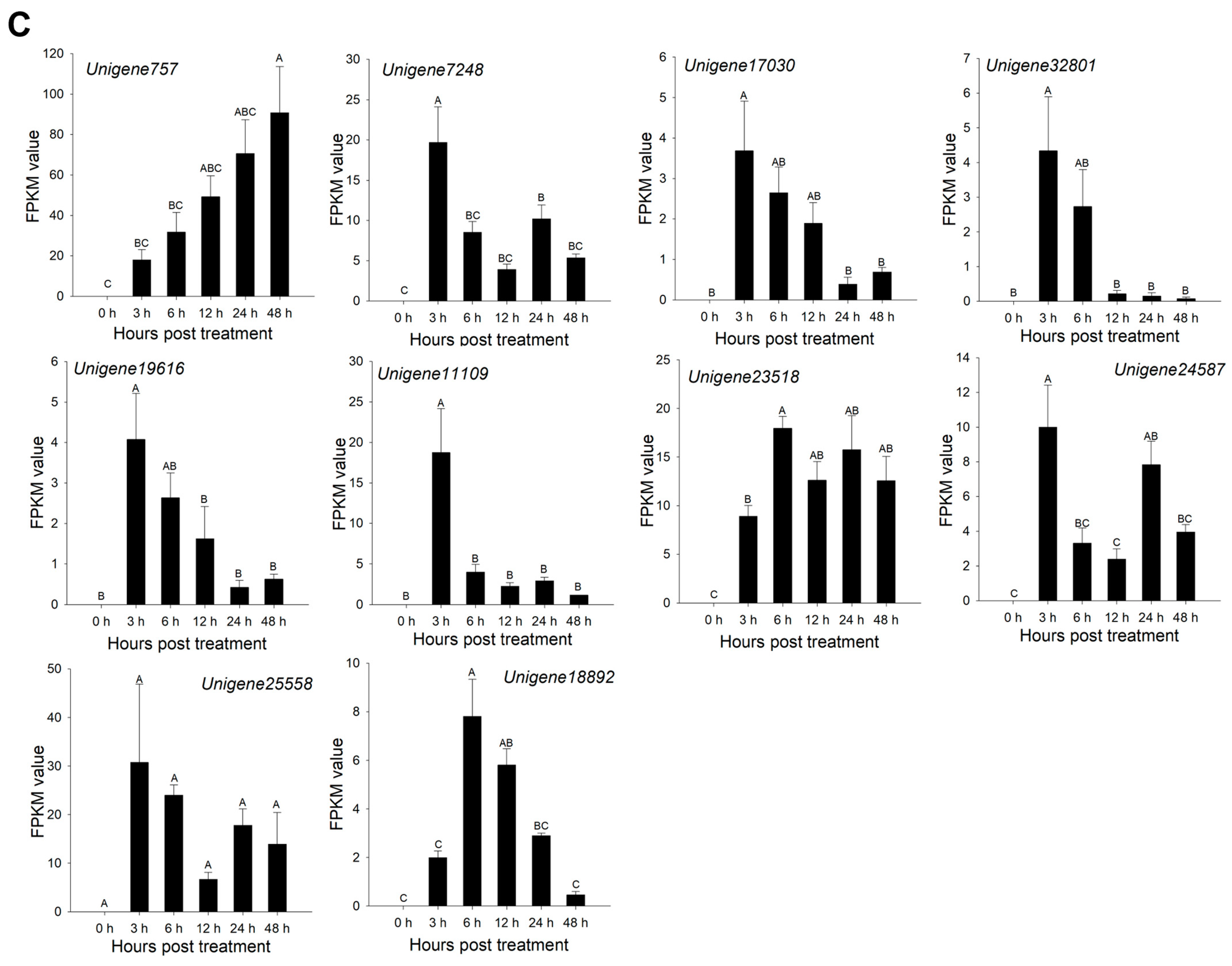 Agronomy 13 02215 g002b