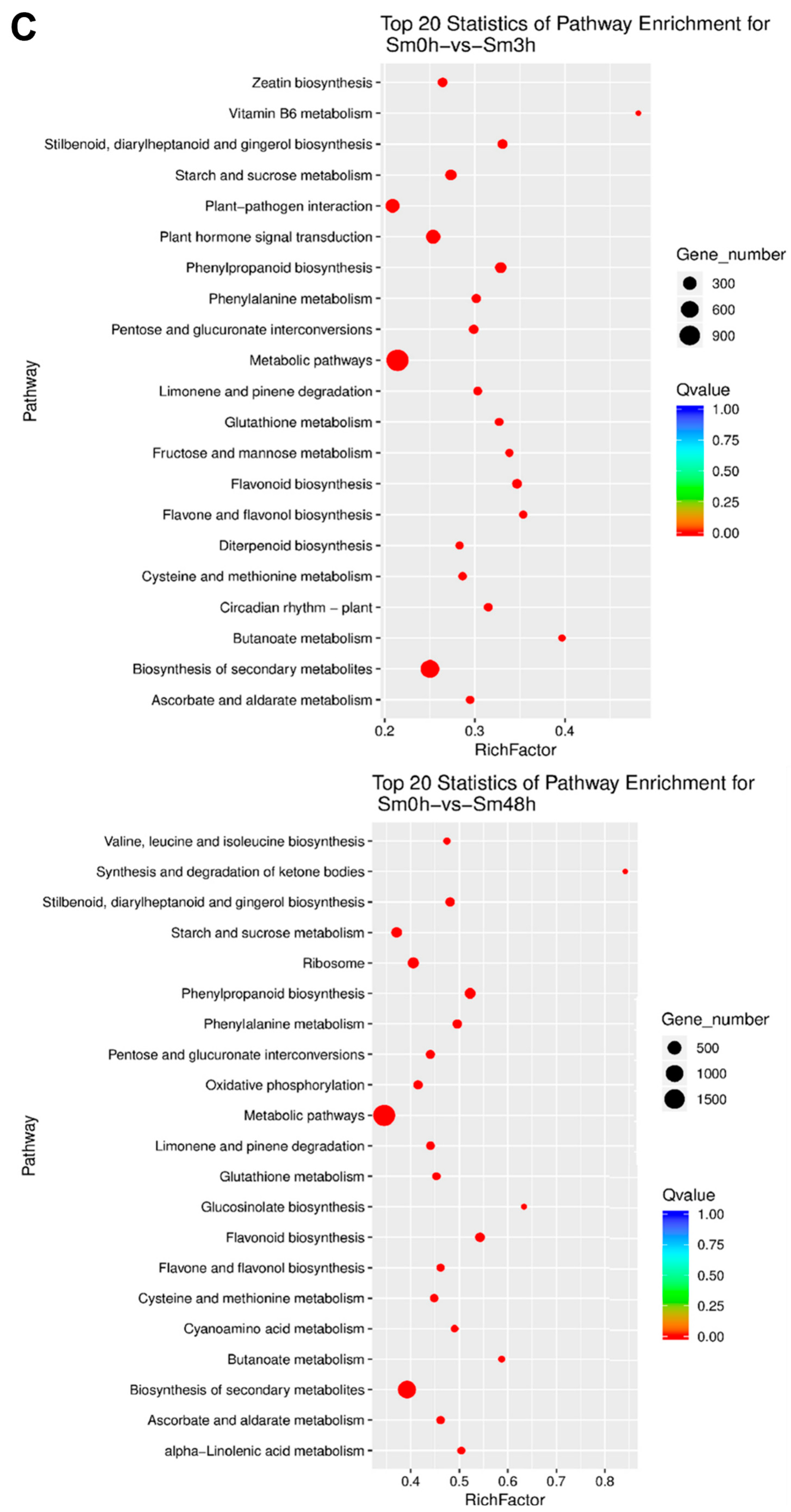Agronomy 13 02215 g003c