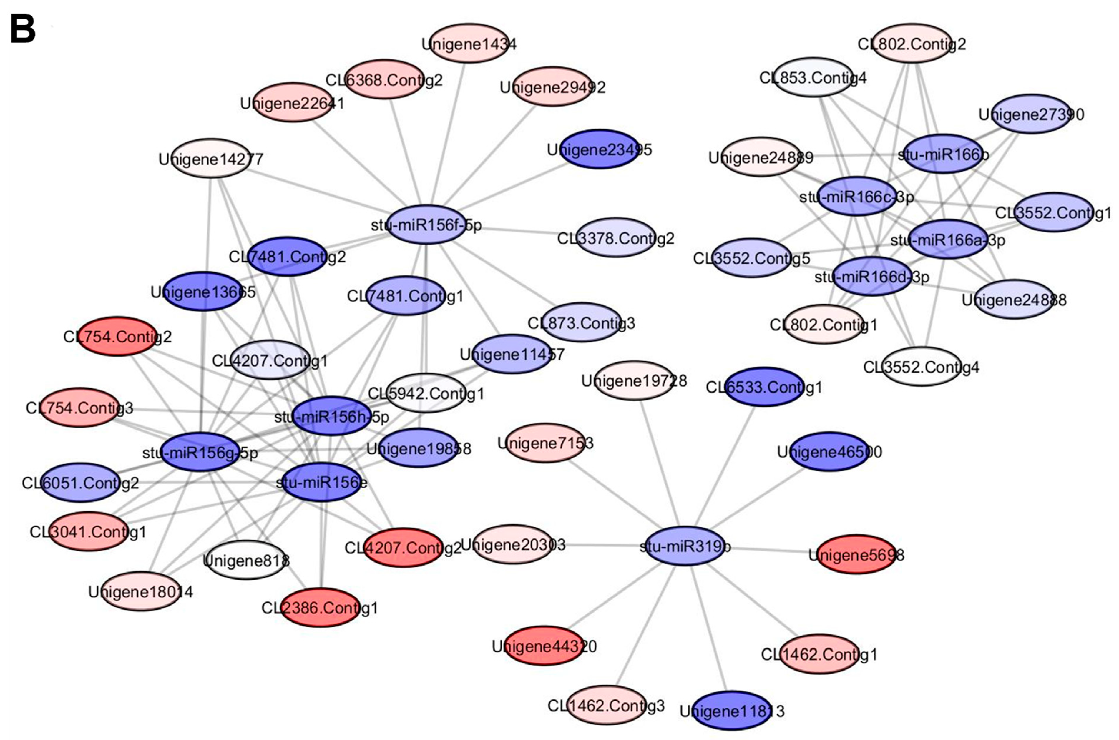 Agronomy 13 02215 g007b