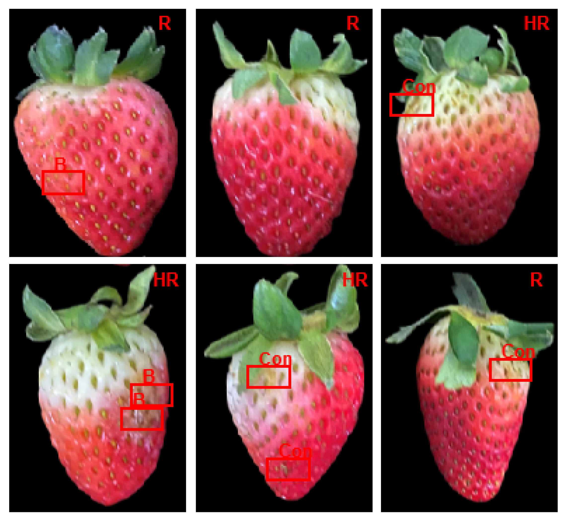 Agronomy 13 02217 g002