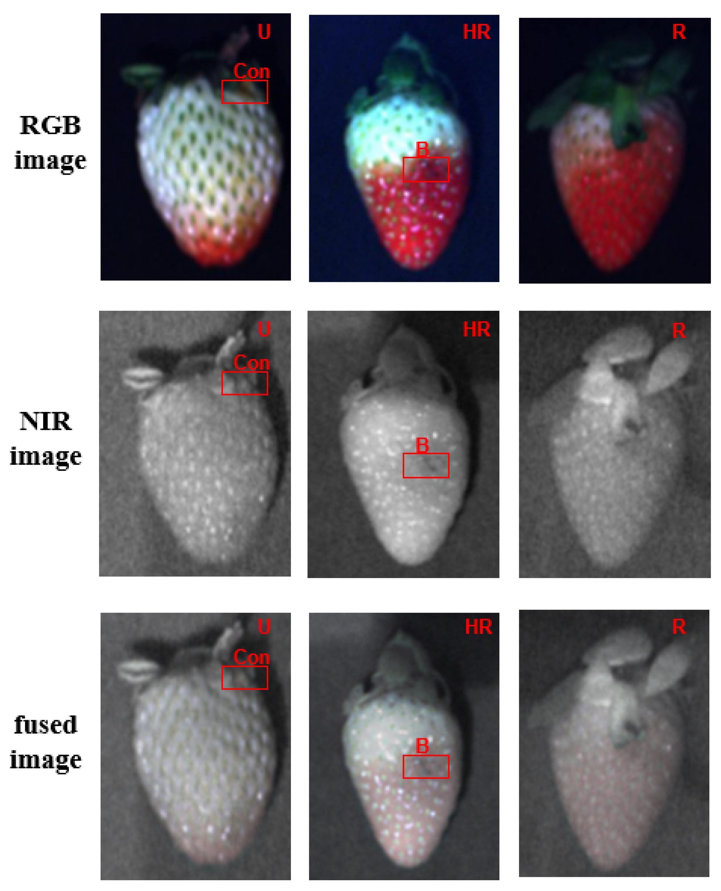 Agronomy 13 02217 g003