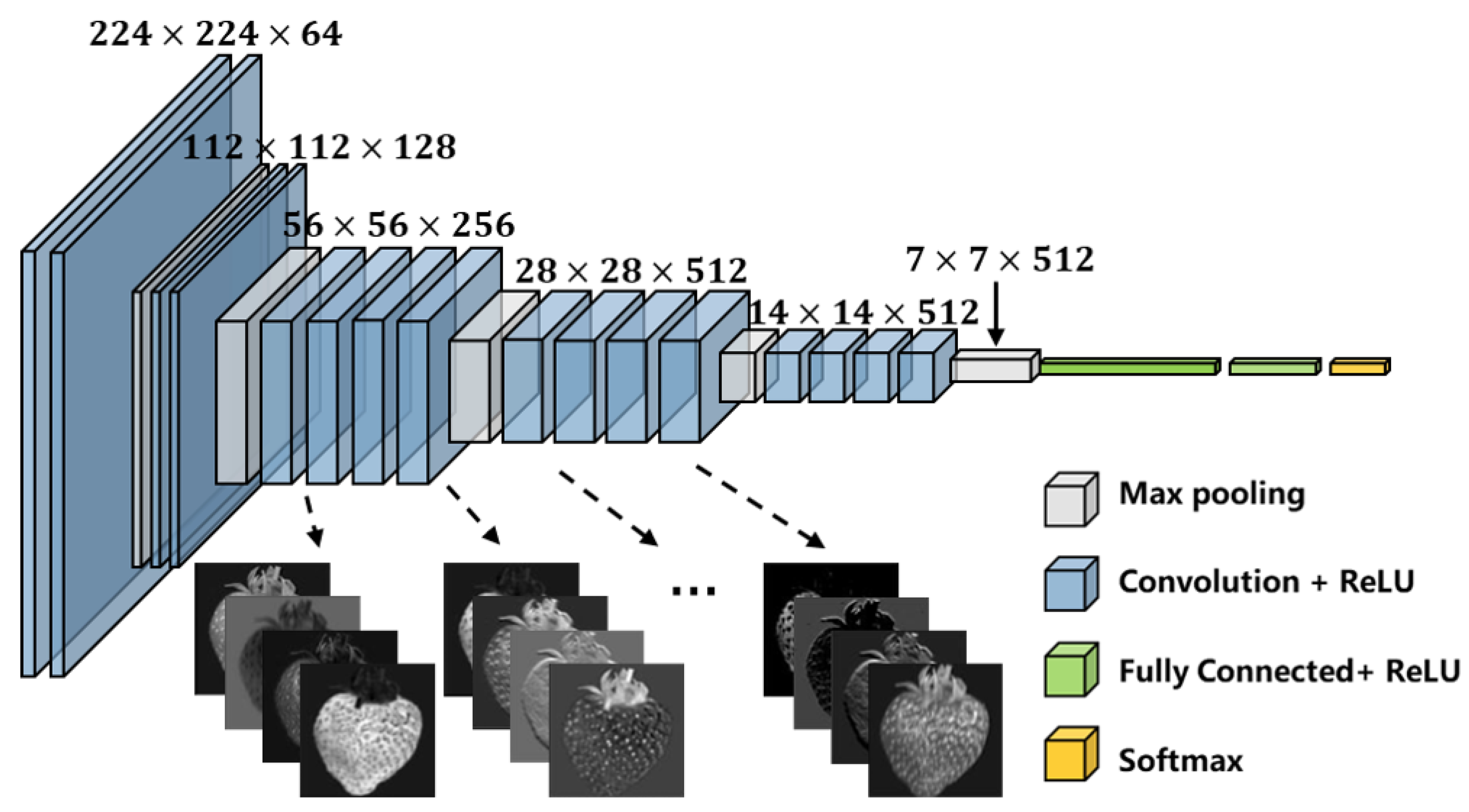 Agronomy 13 02217 g004