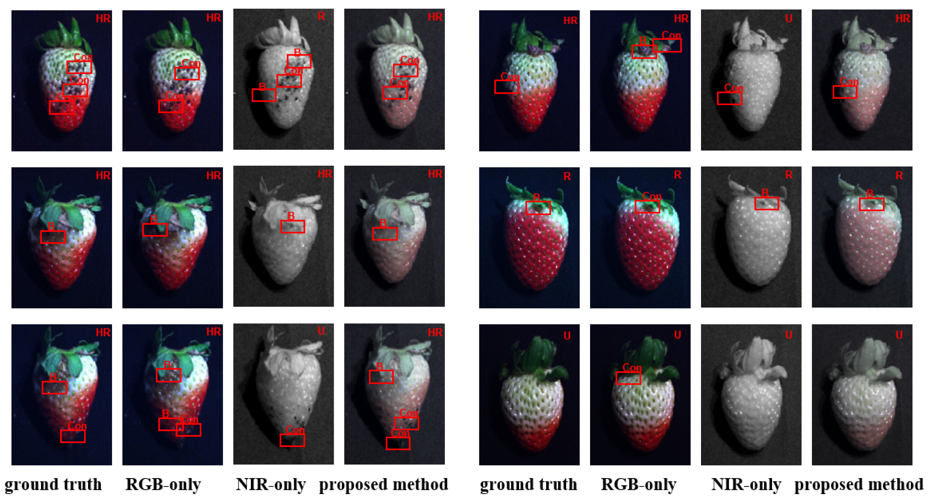 Agronomy 13 02217 g008