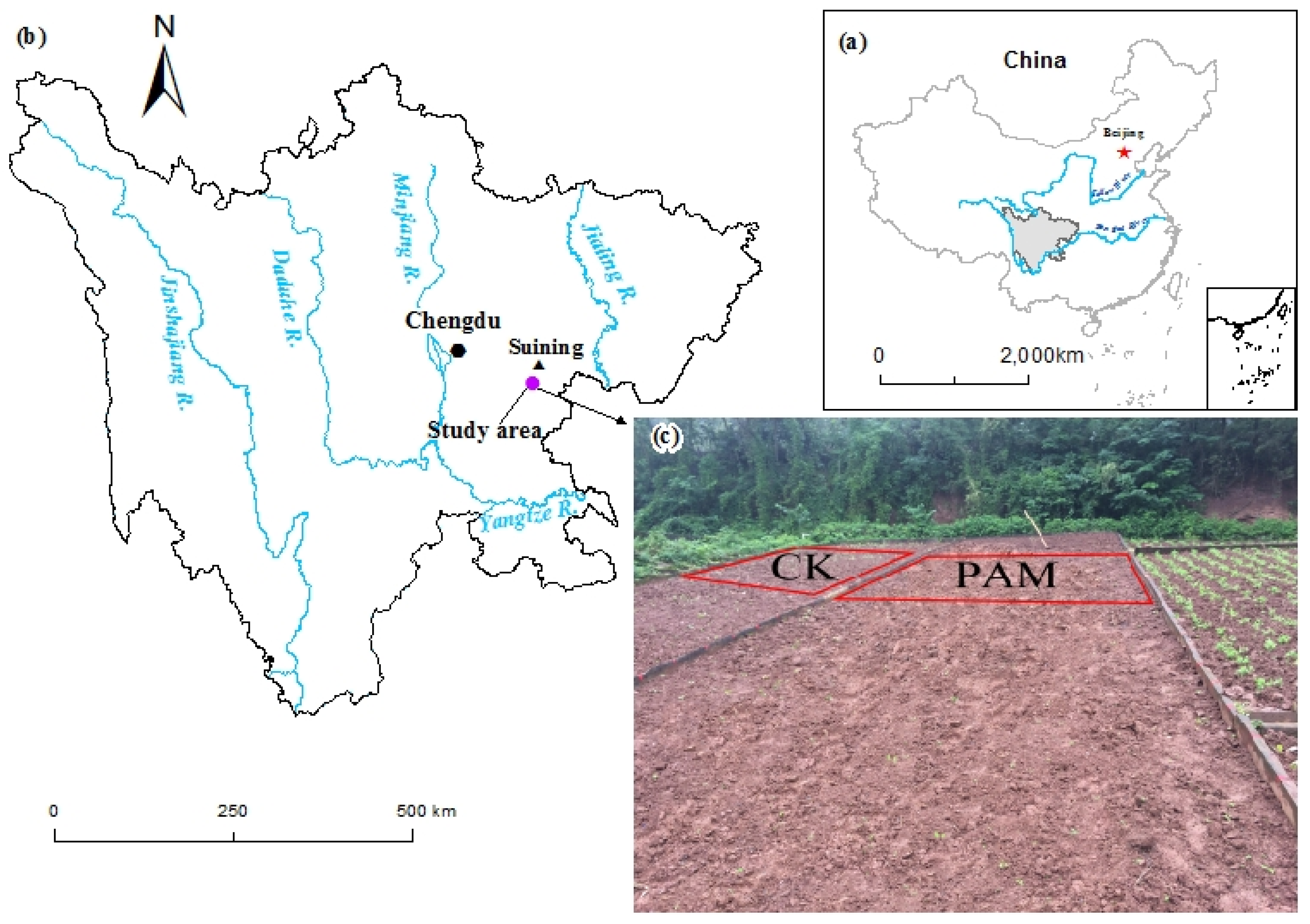 Agronomy 13 02222 g001