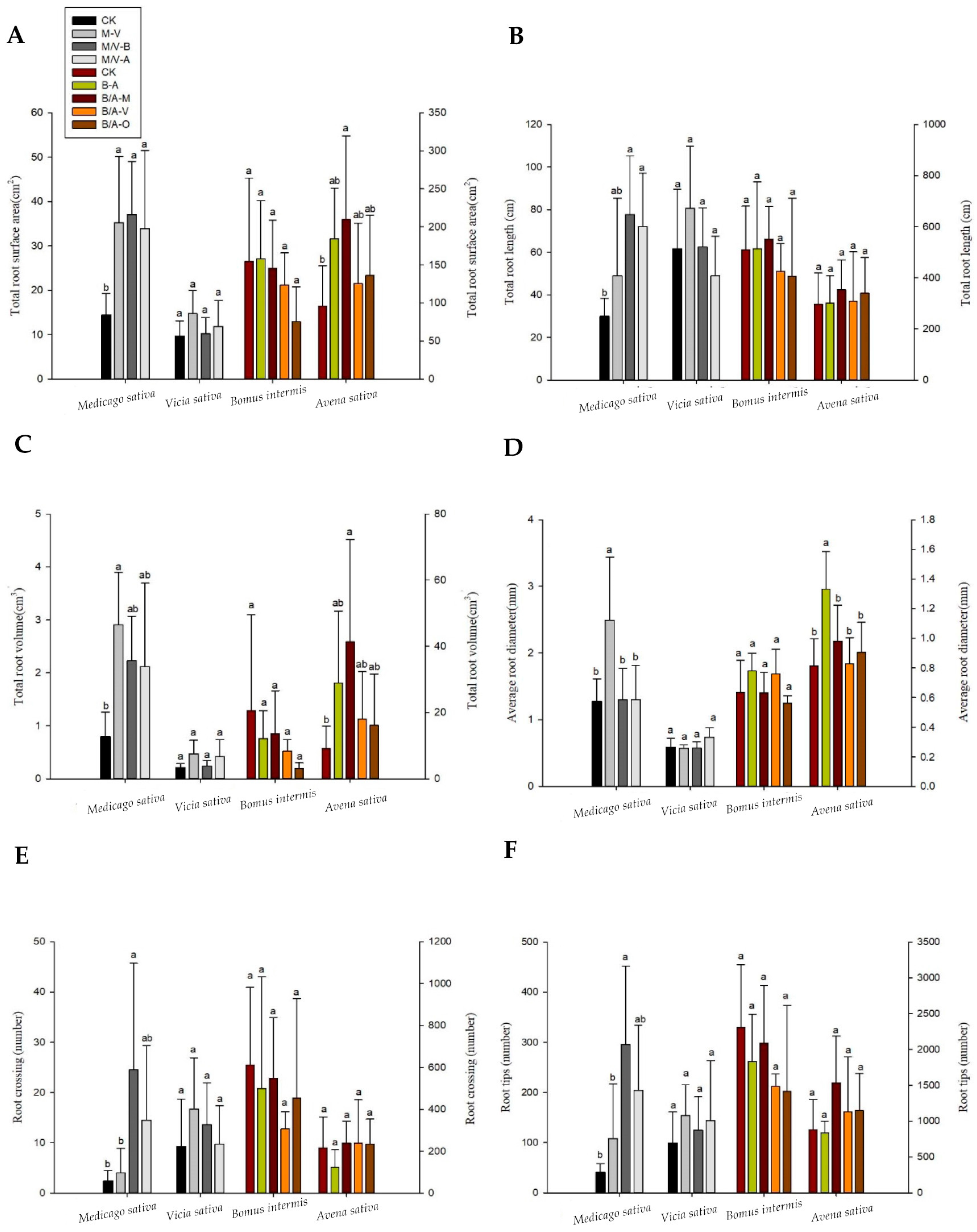 Agronomy 13 02223 g002 Agronomy 13 02223 g002