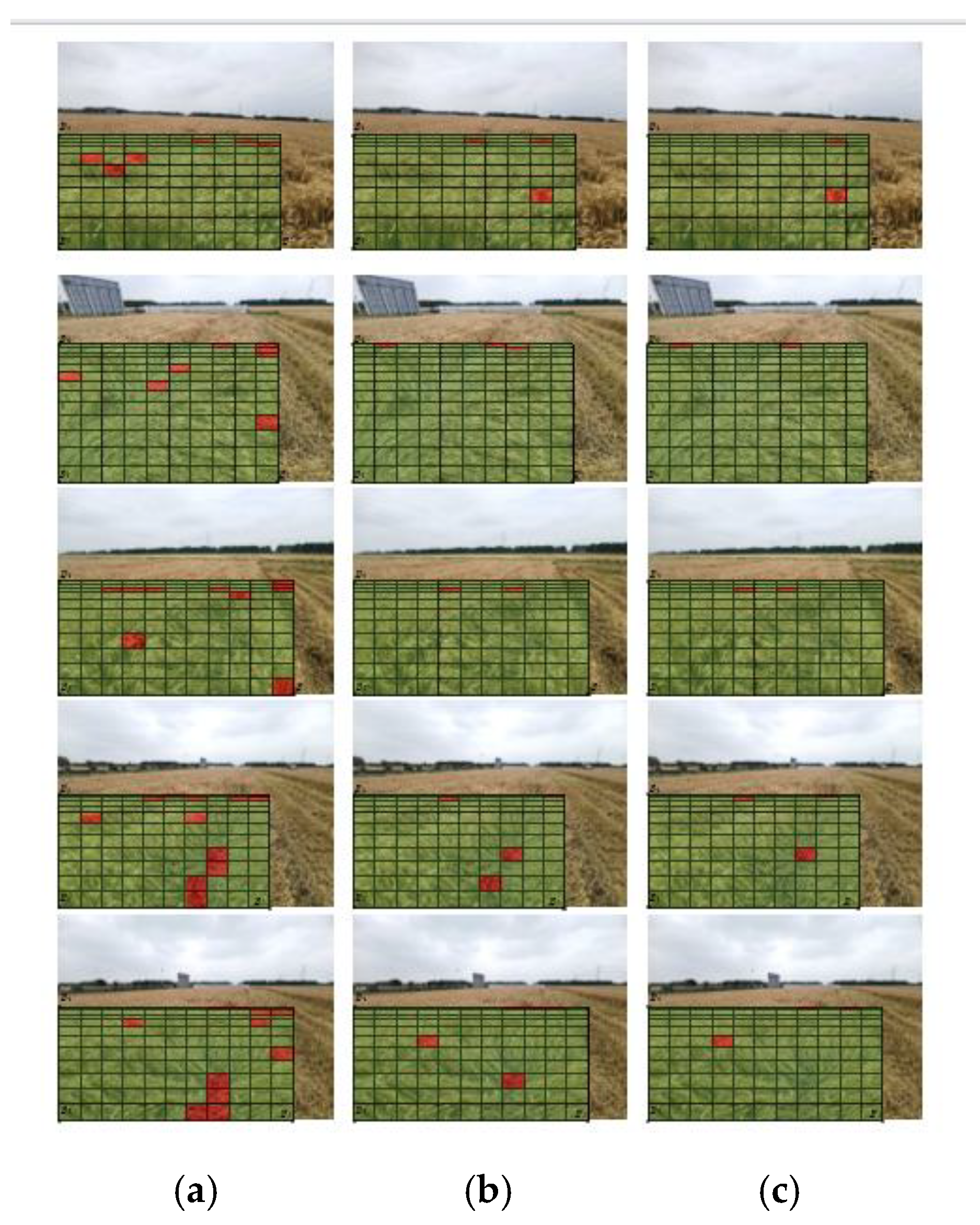 Agronomy 13 02227 g013