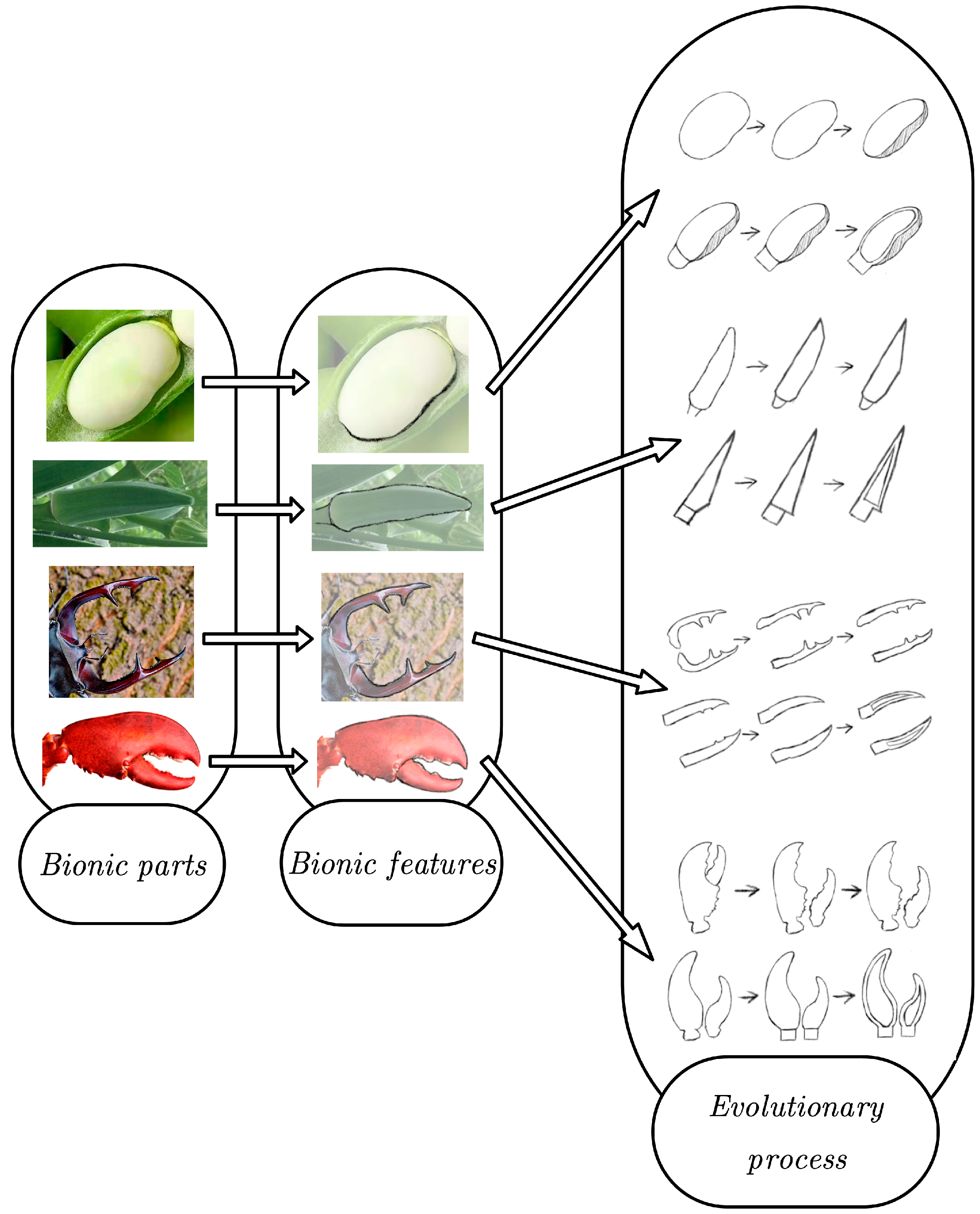 Agronomy 13 02231 g004