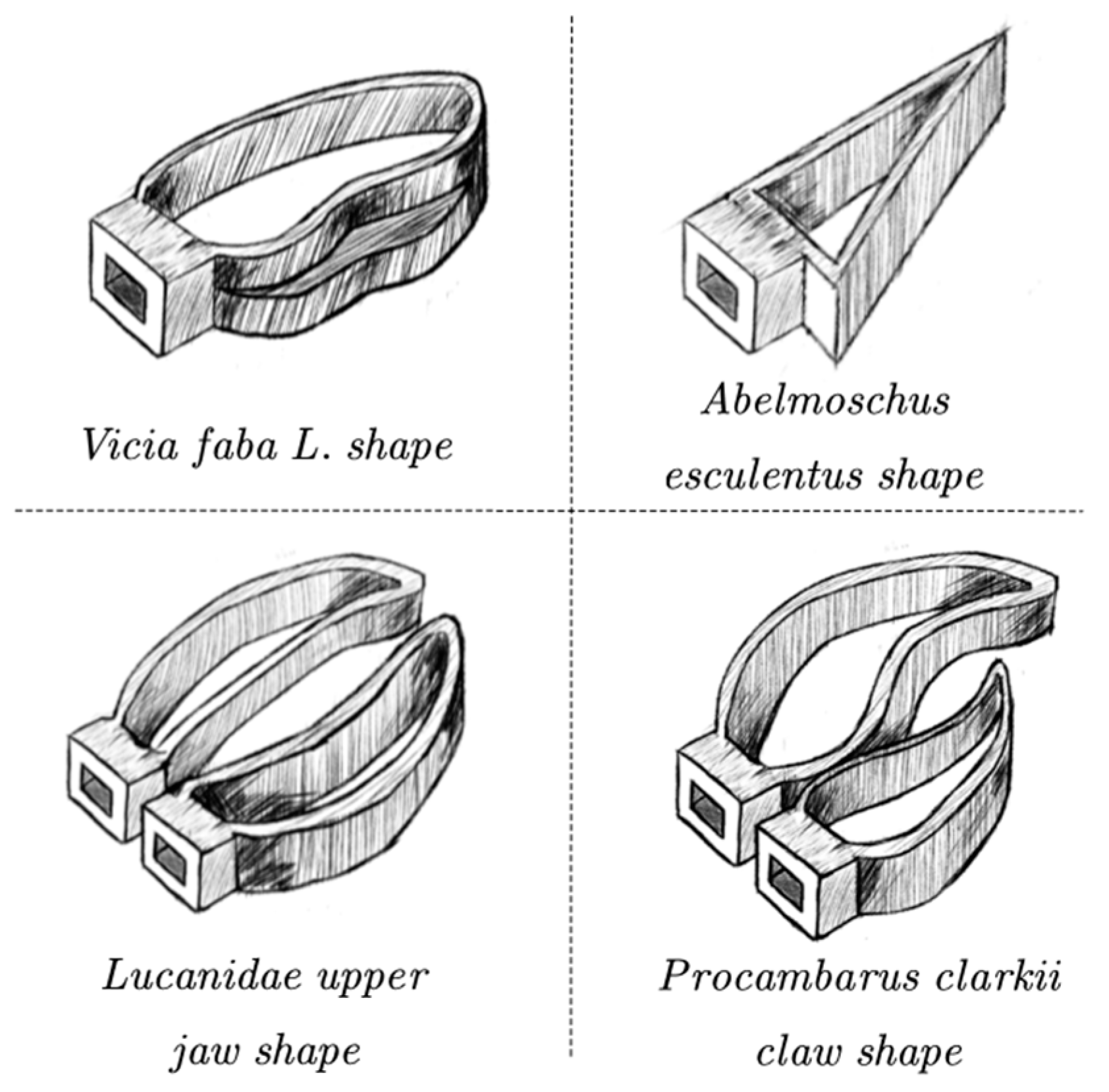 Agronomy 13 02231 g005