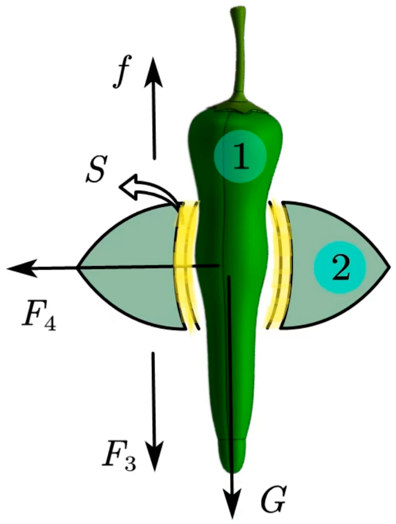 Agronomy 13 02231 g009