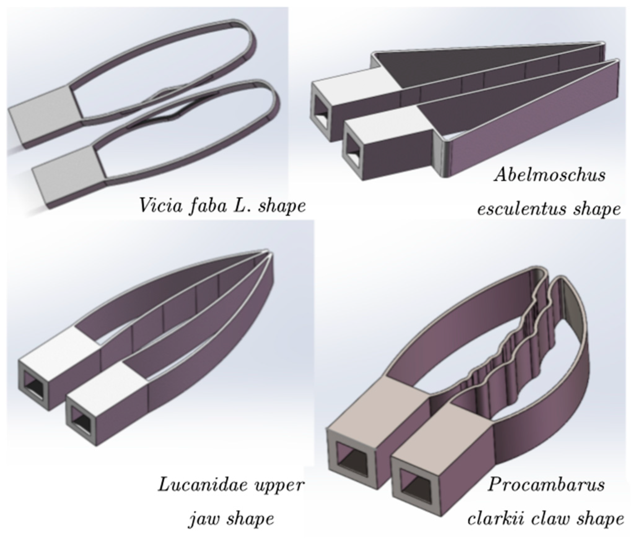 Agronomy 13 02231 g010