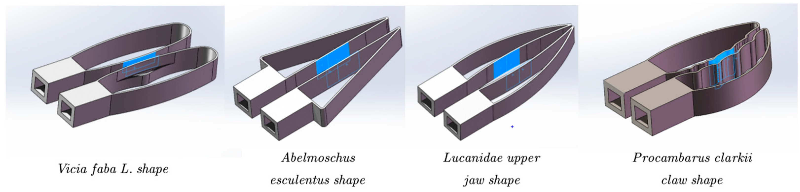 Agronomy 13 02231 g016