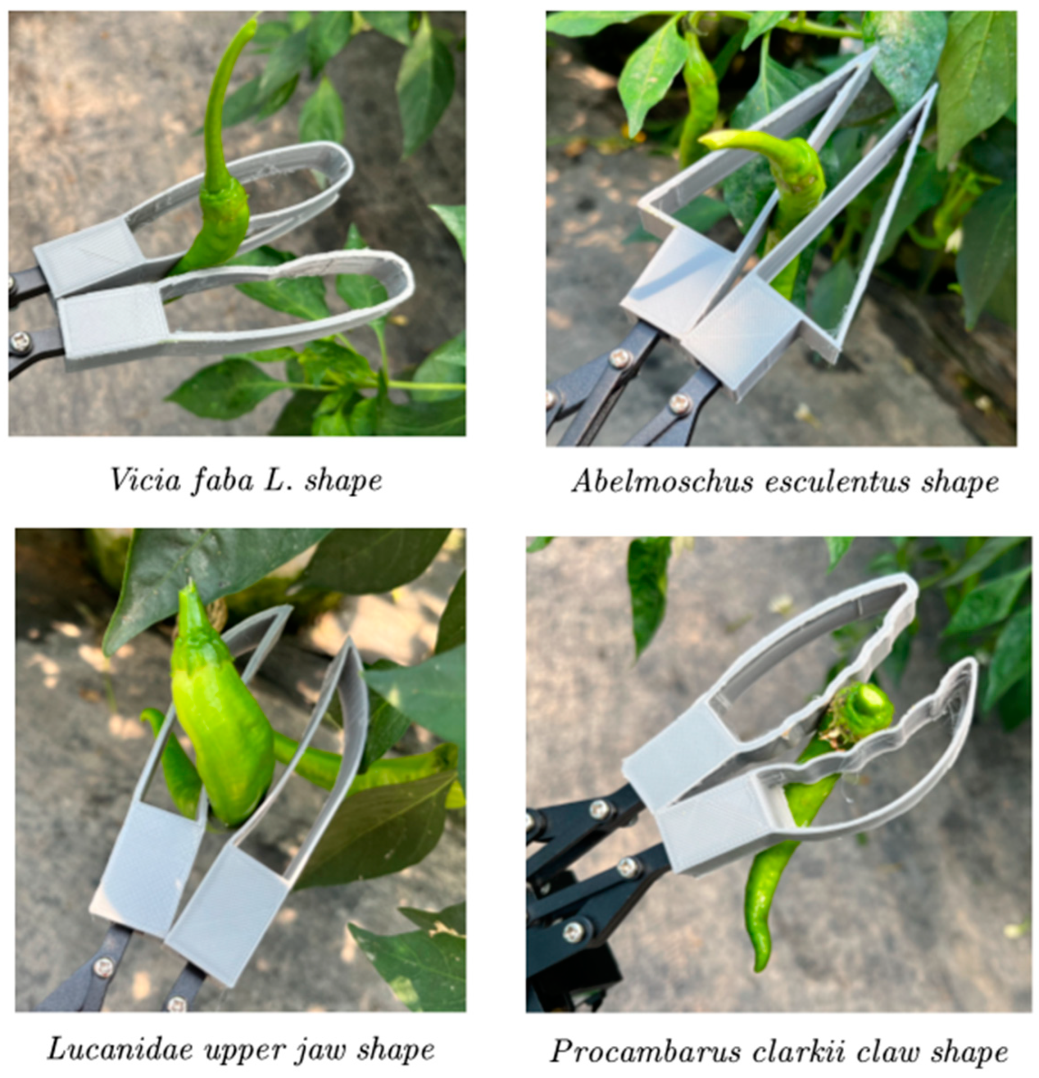 Agronomy 13 02231 g020