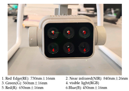 プレステ2     １５枚 List of Japanese [E31] Z/X Legend [Z/X -Zillions of enemy X
