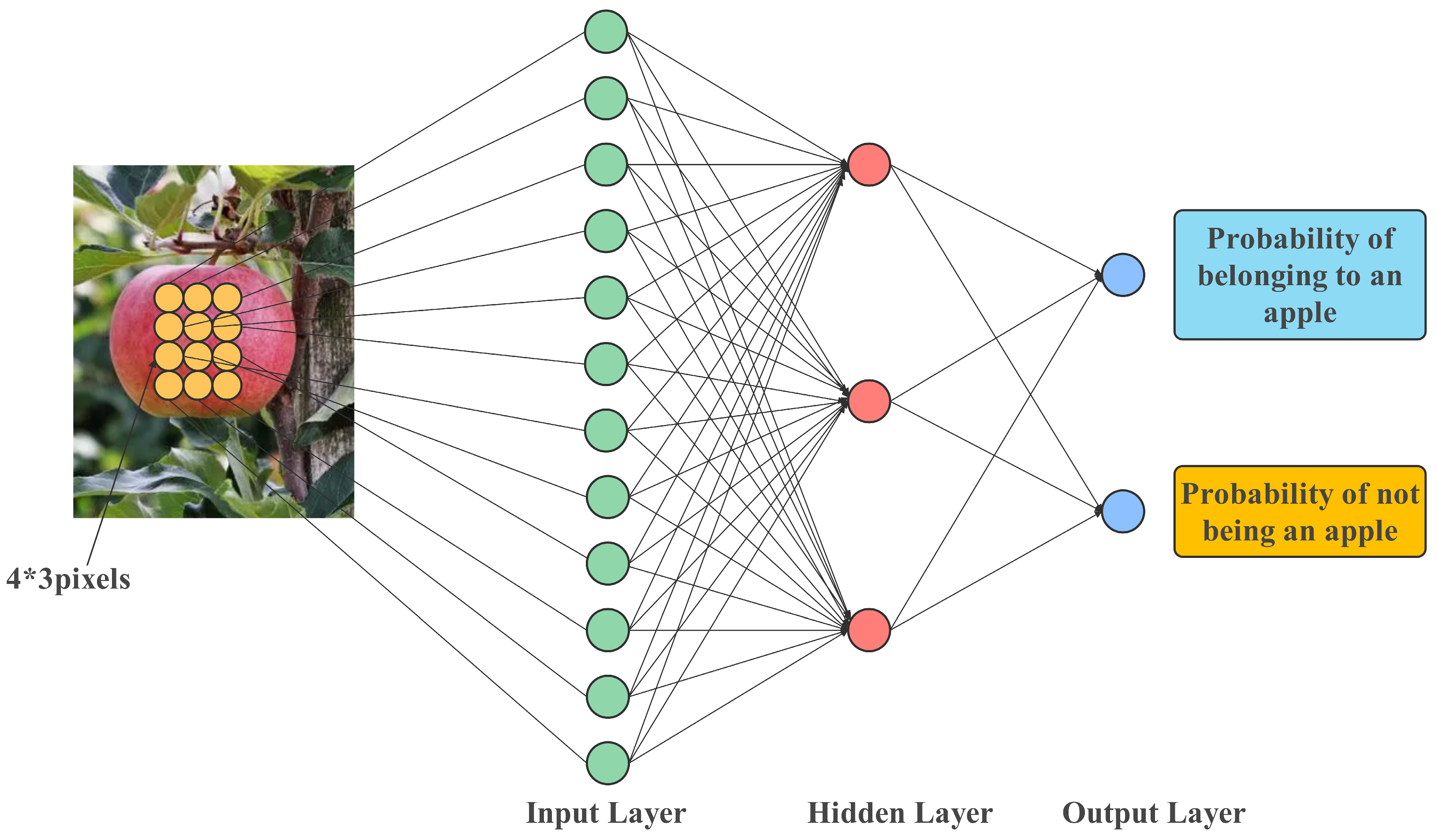 Agronomy 13 02237 g003