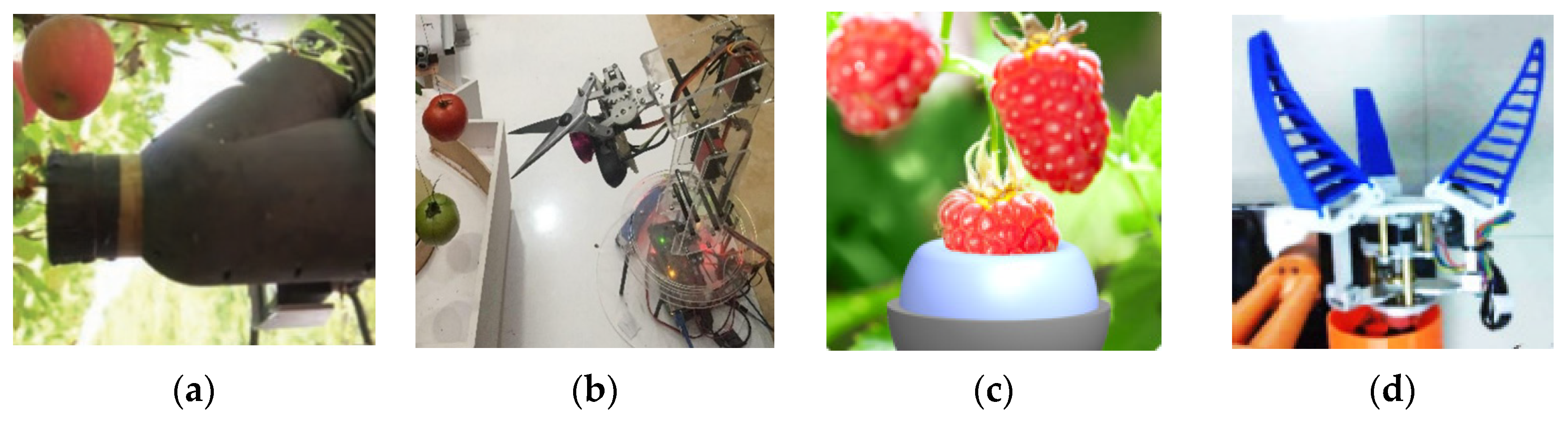 Agronomy 13 02237 g007