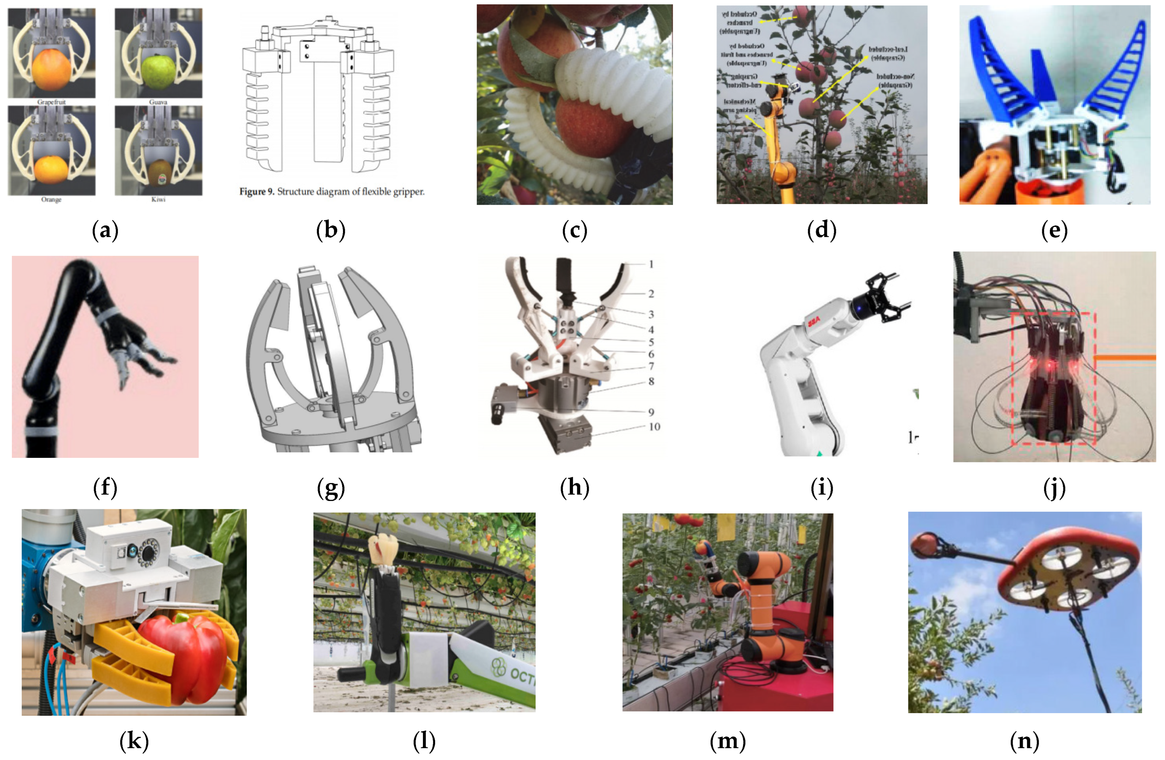 Agronomy 13 02237 g008