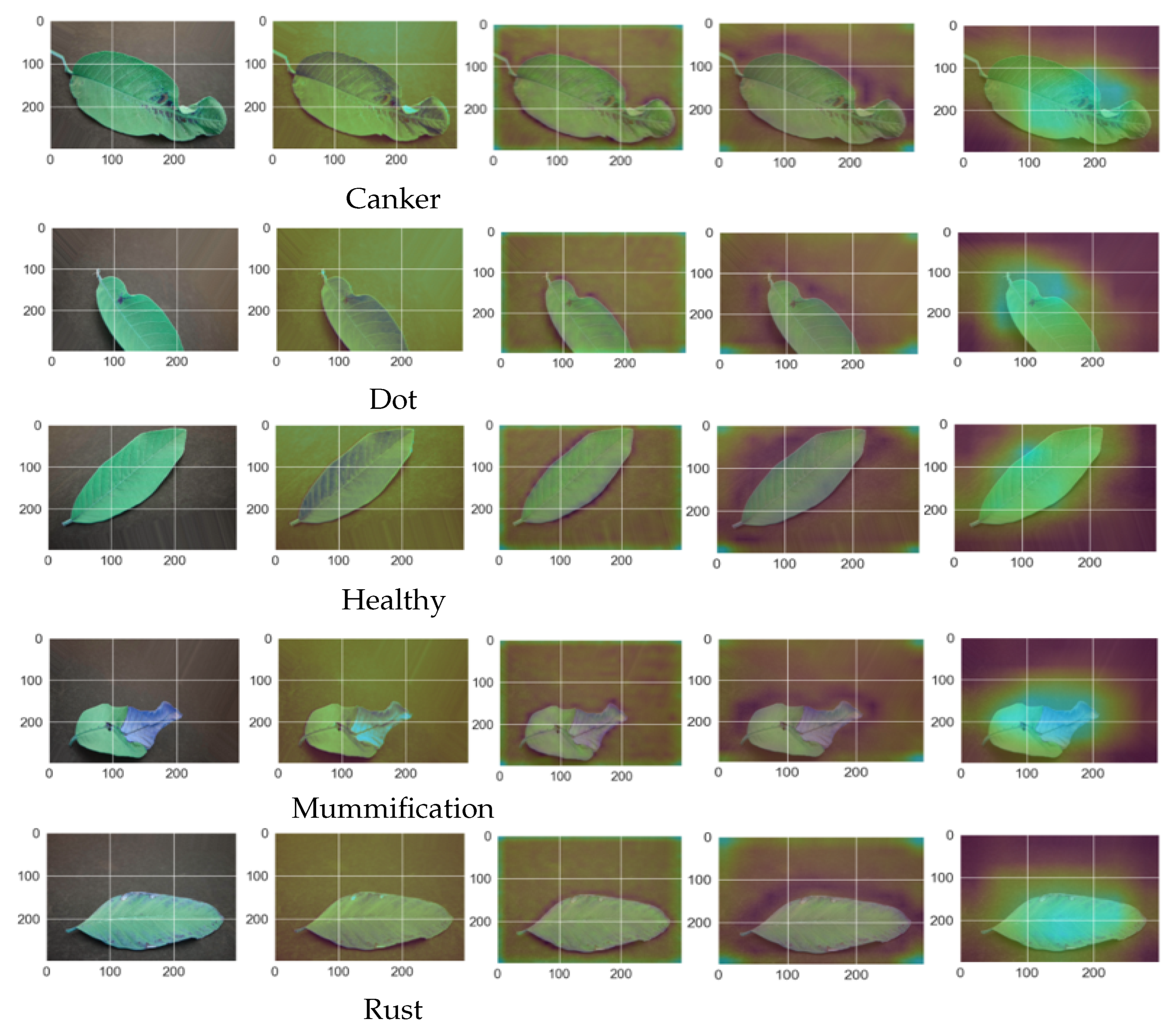 Agronomy 13 02240 g009