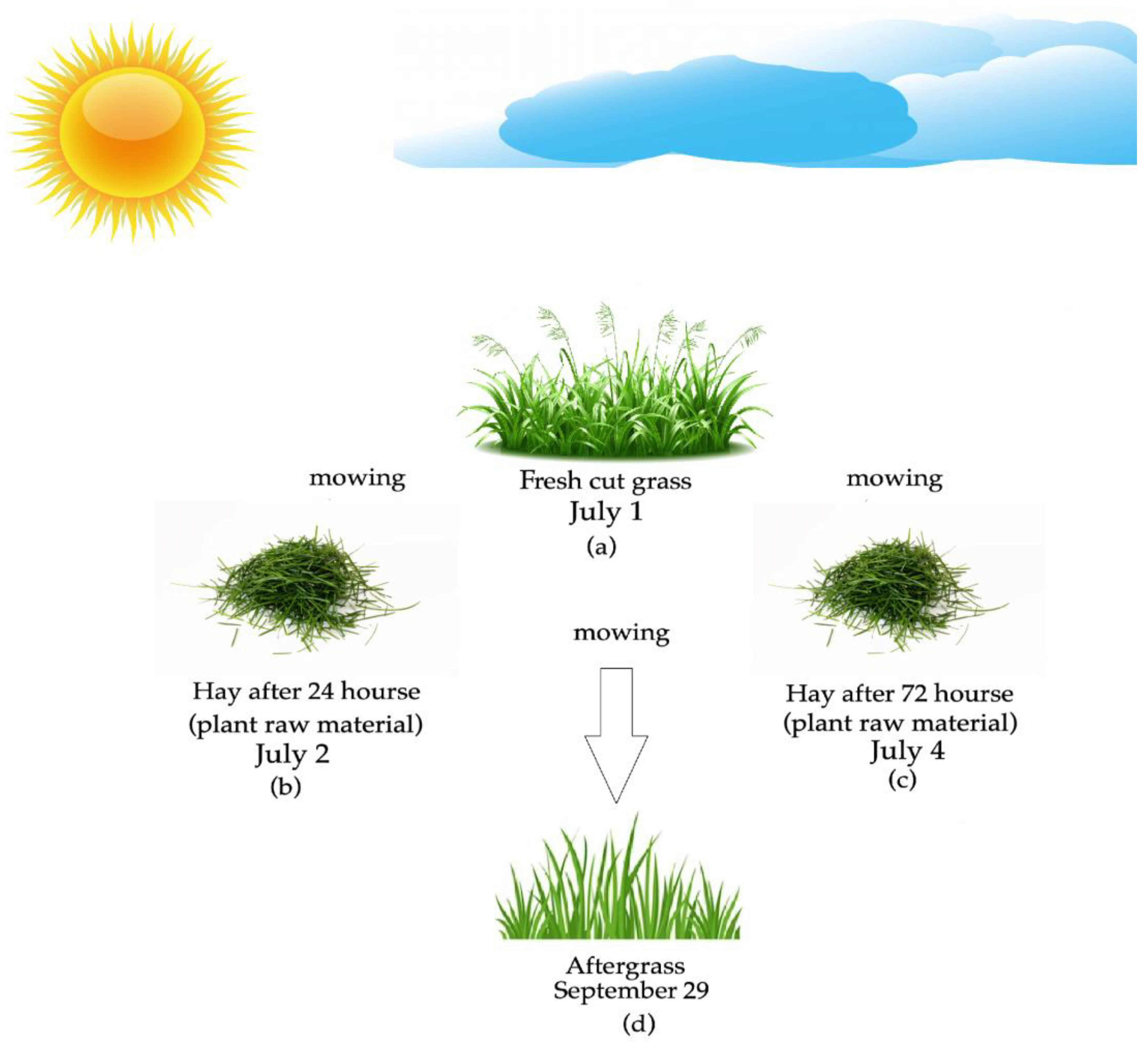 Agronomy 13 02252 g001