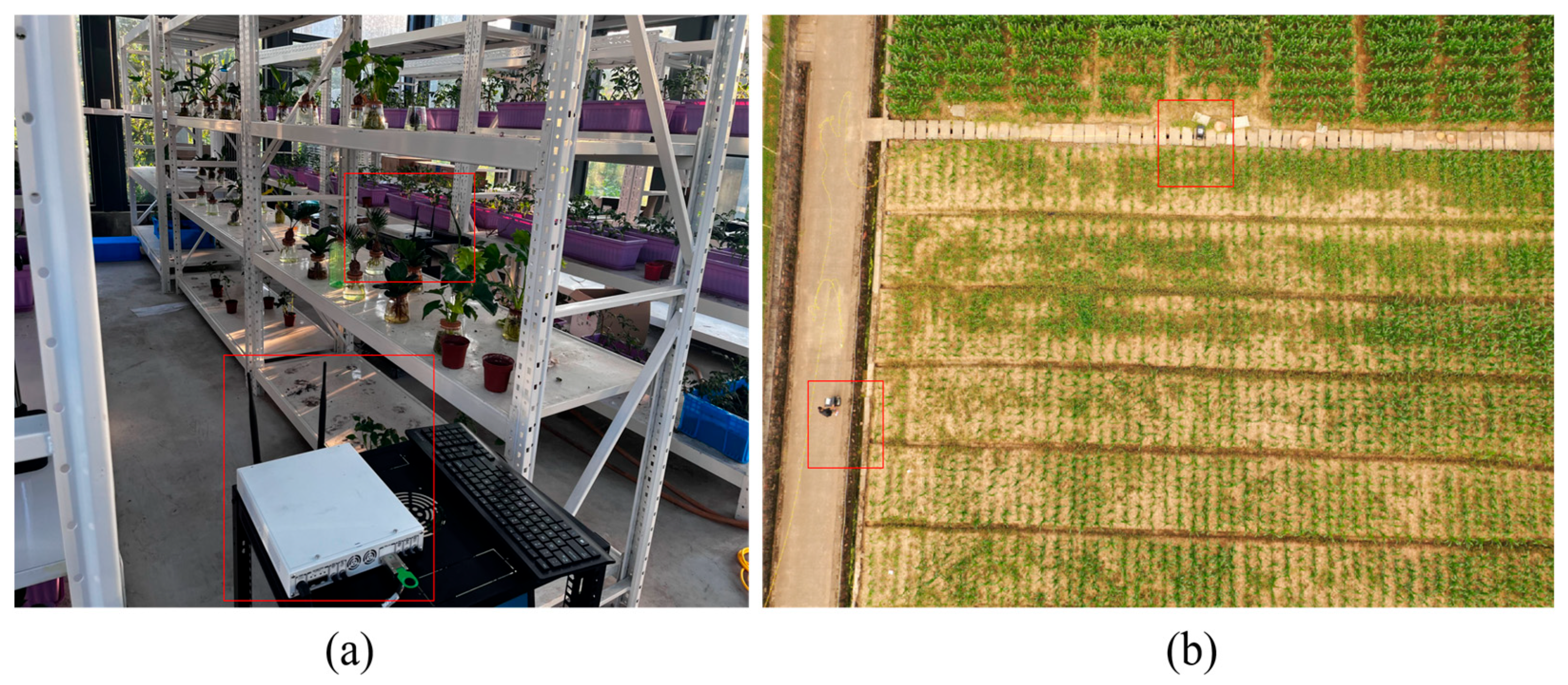 Agronomy 13 02257 g004