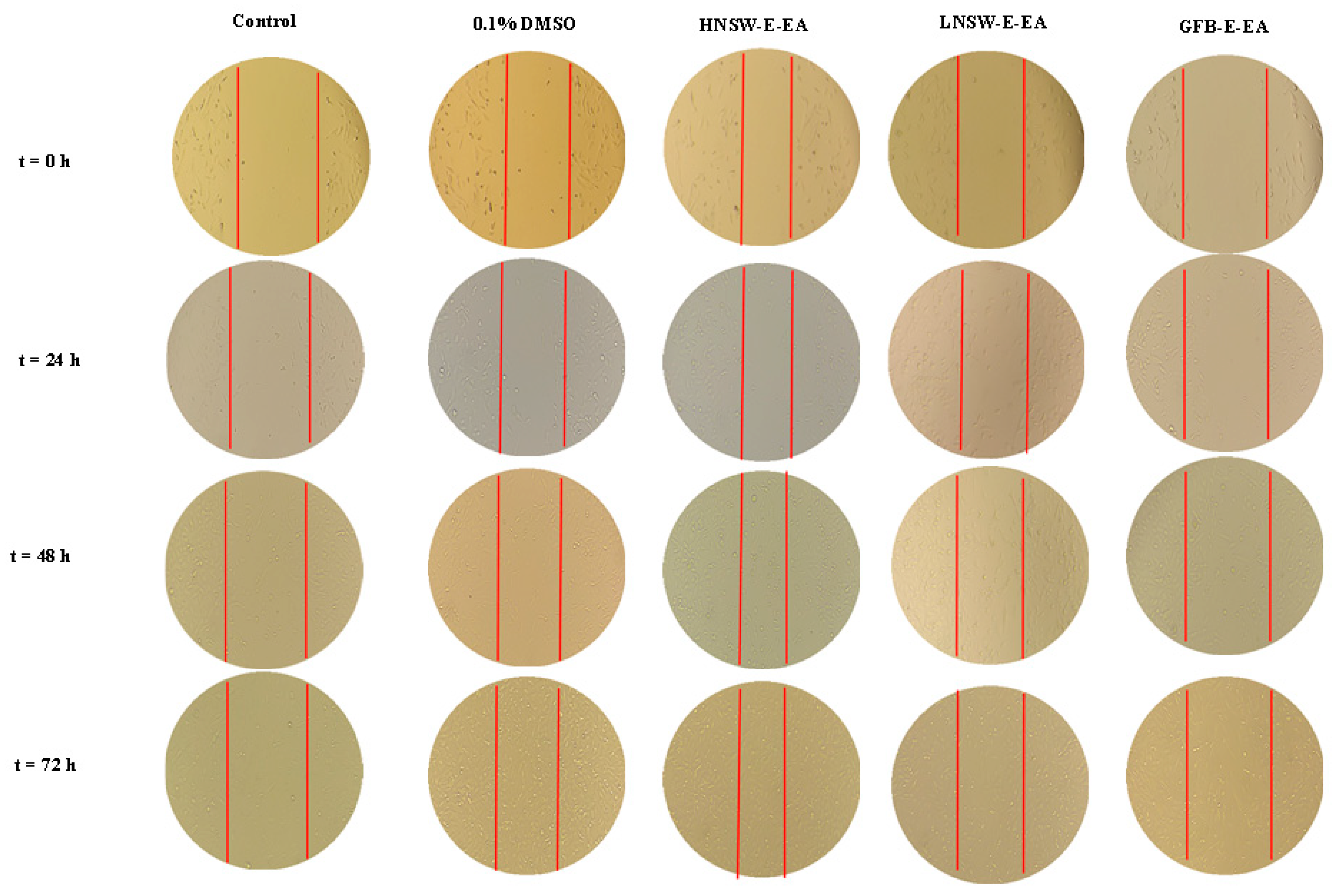 Agronomy 13 02258 g006