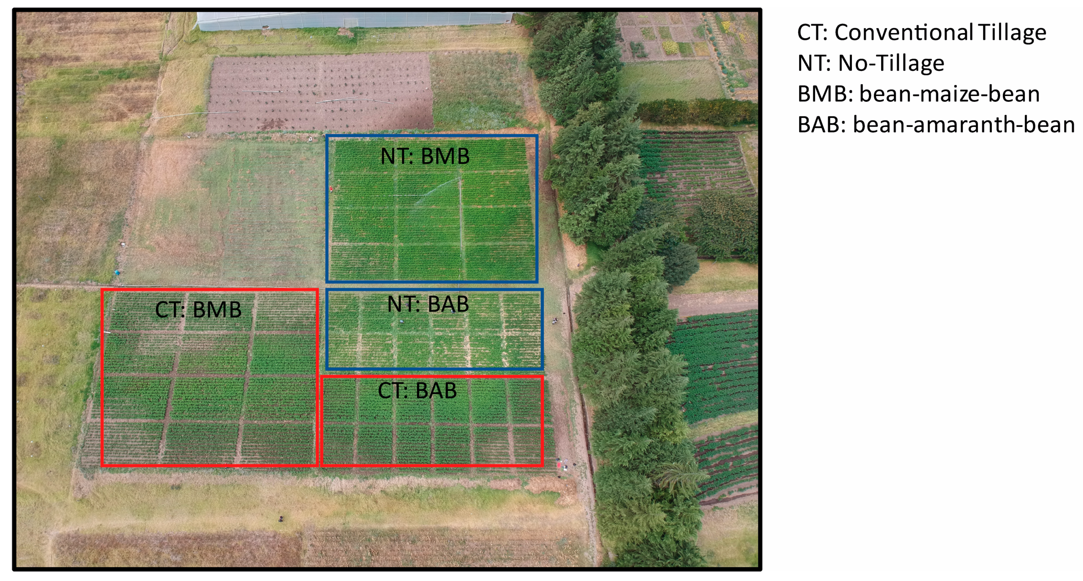 Agronomy 13 02260 g0a2
