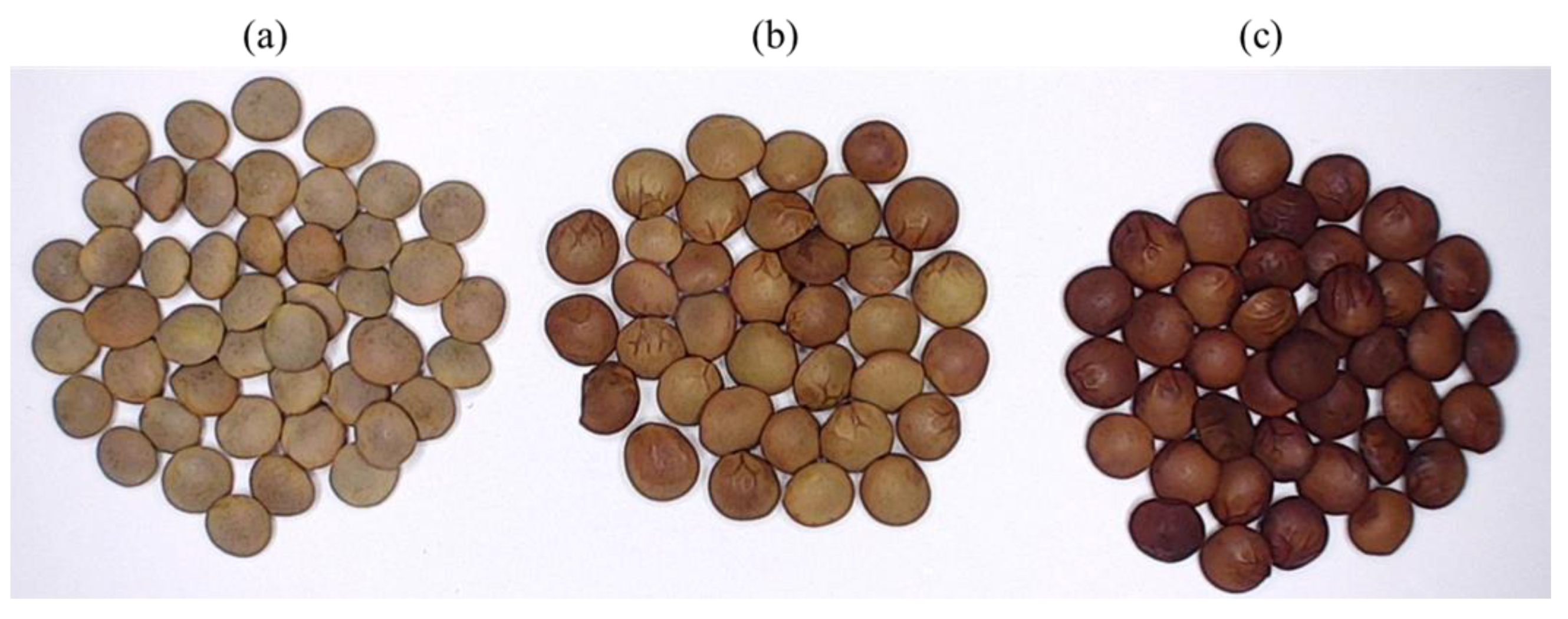 Agronomy 13 02261 g001