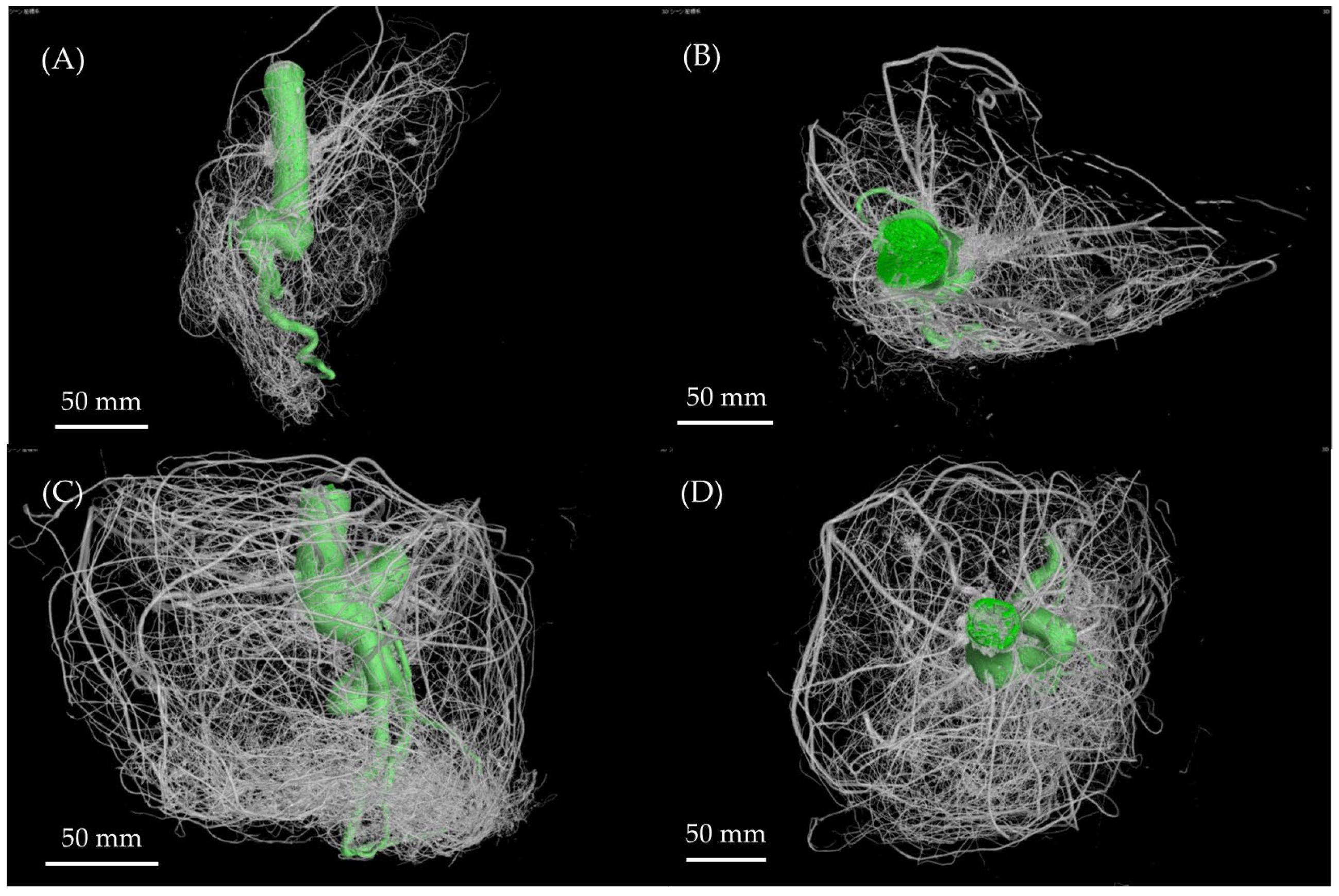 Agronomy 13 02264 g005