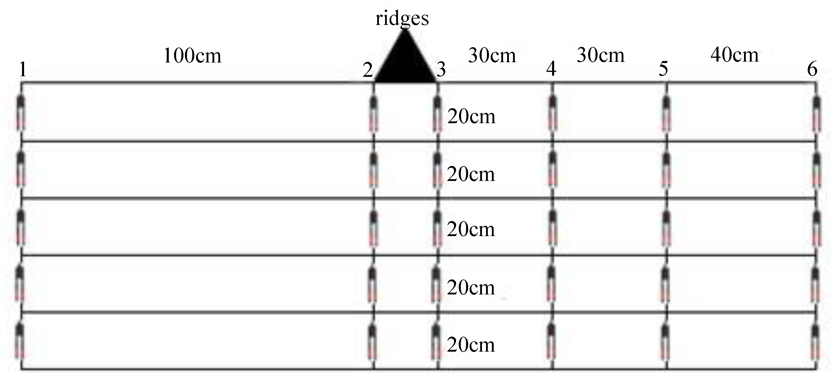 Agronomy 13 02267 g002