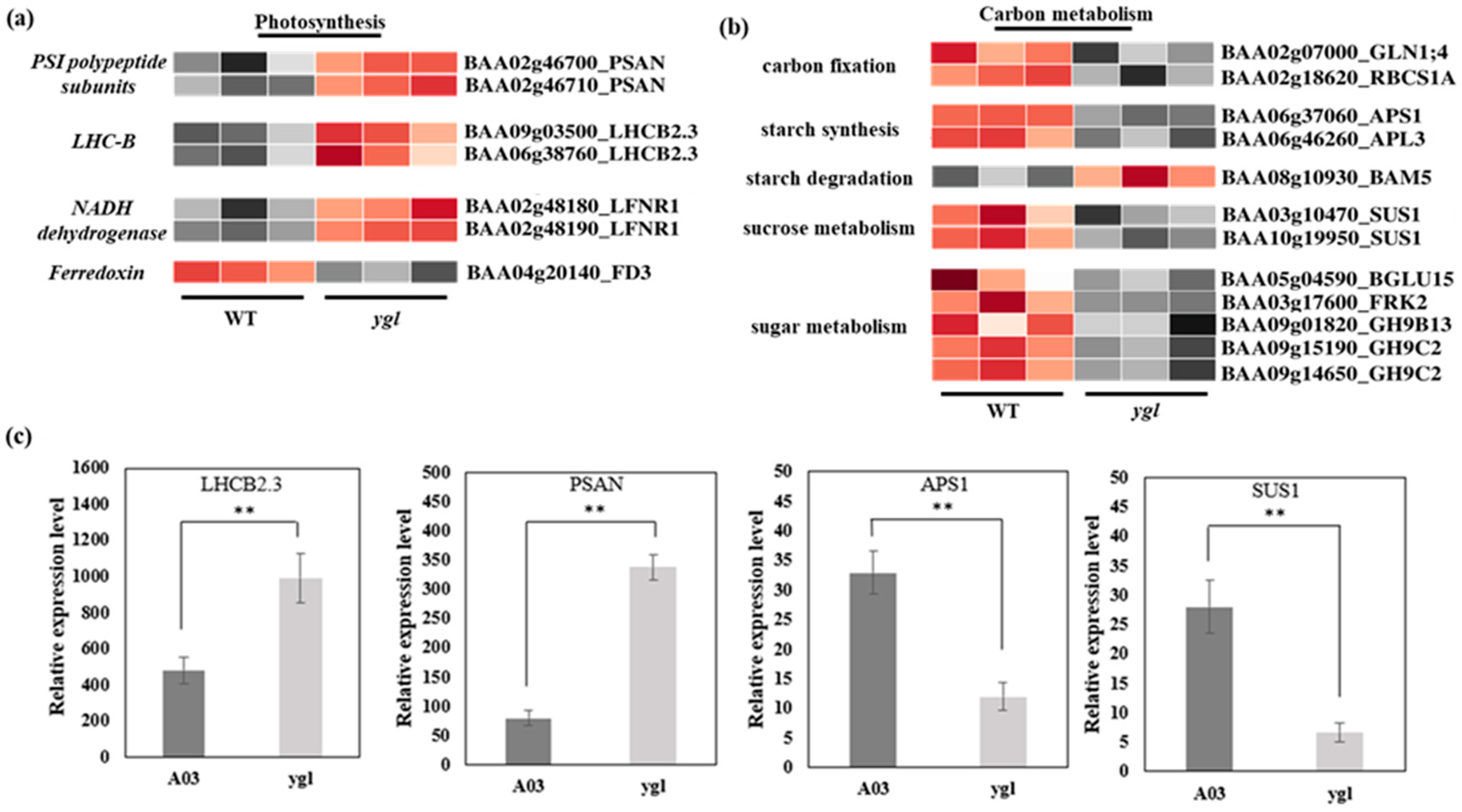 Agronomy 13 02273 g004