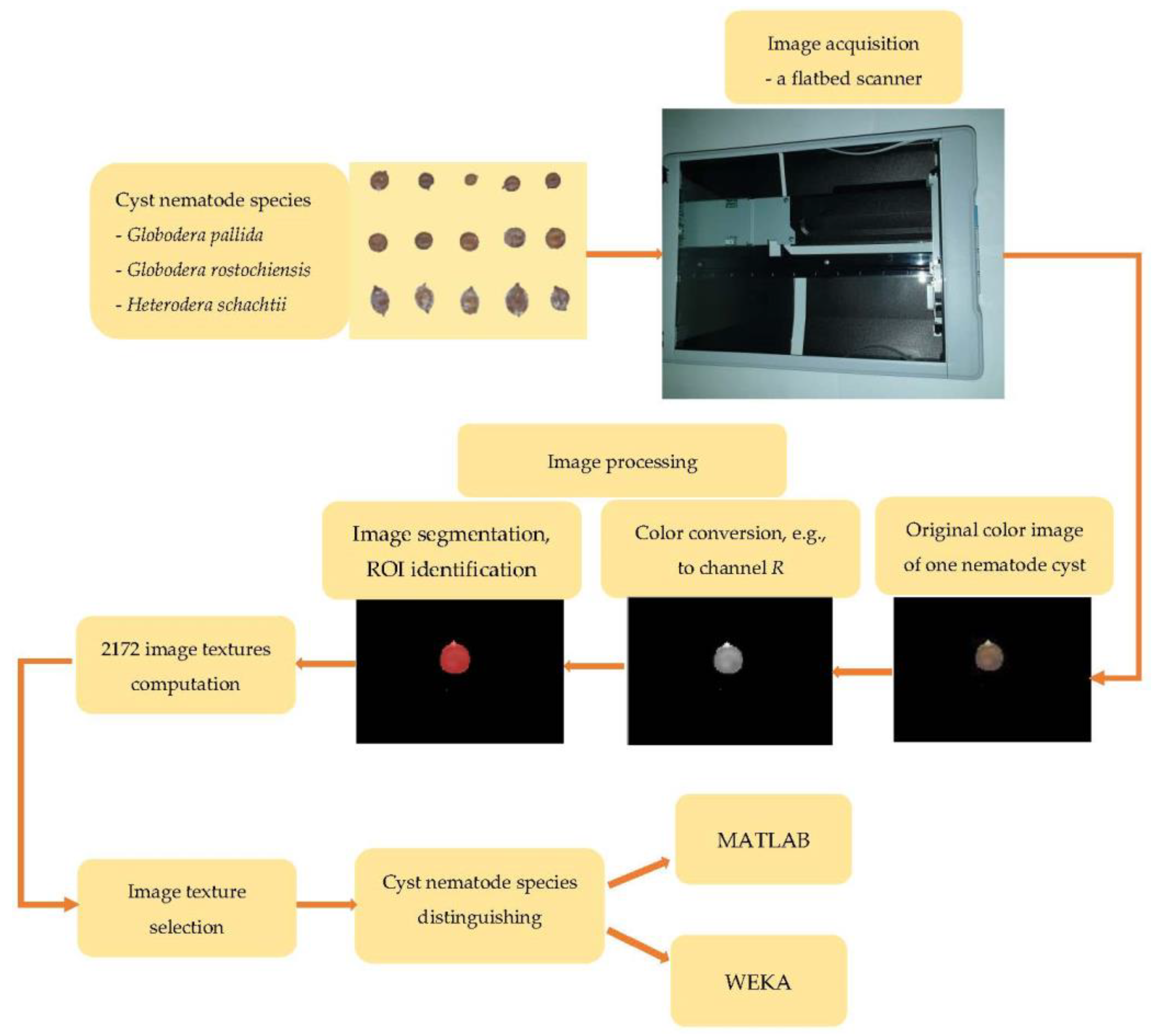 Agronomy 13 02277 g001
