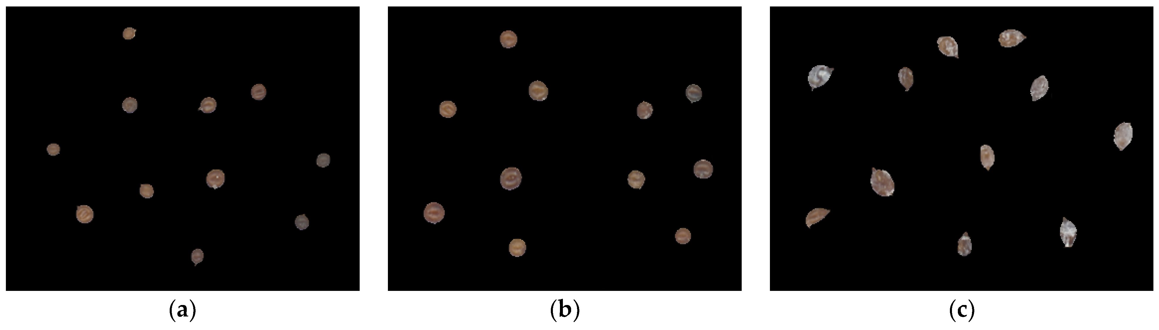 Agronomy 13 02277 g002
