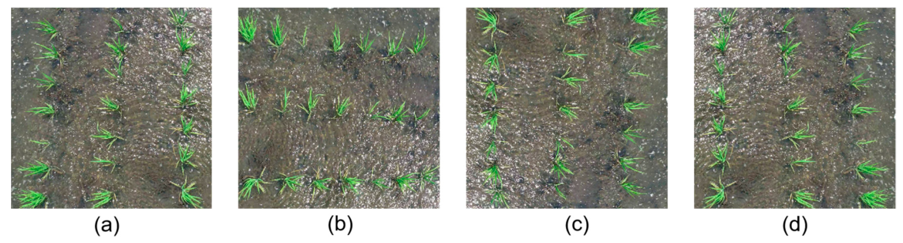 Agronomy 13 02279 g002