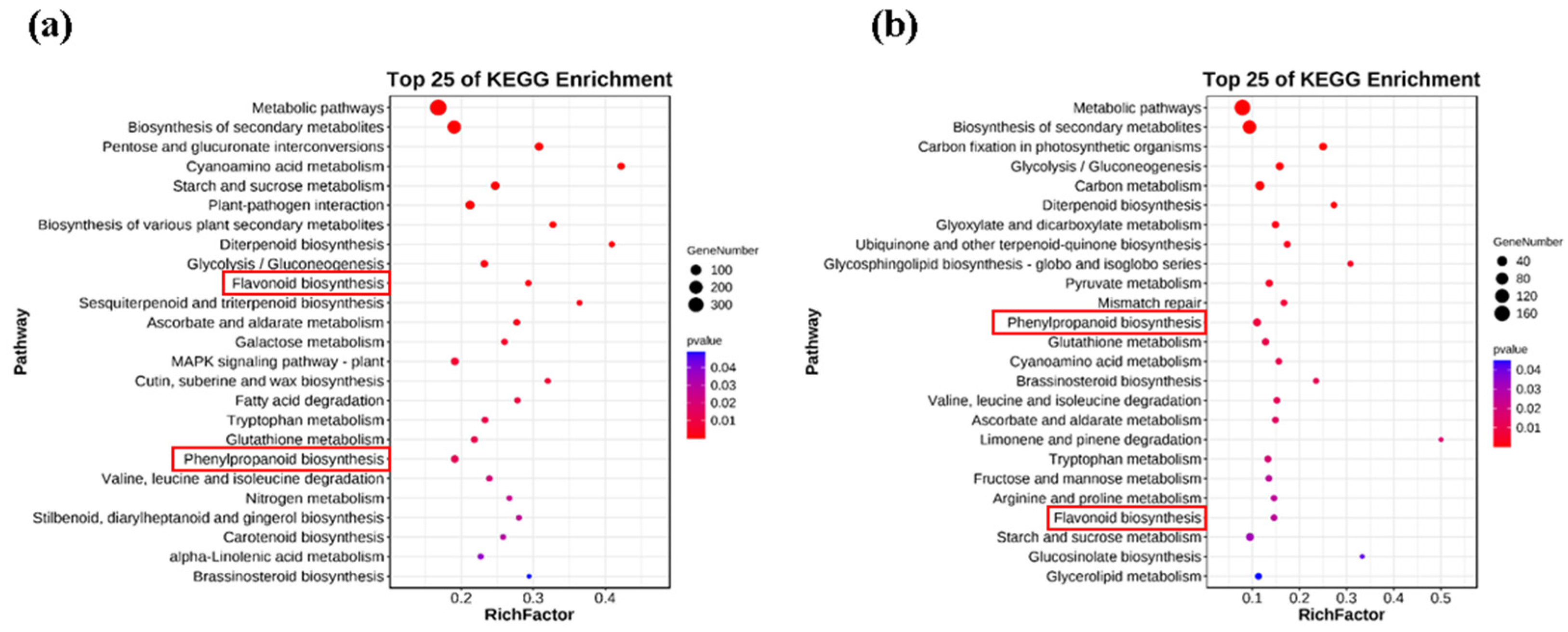 Agronomy 13 02290 g005