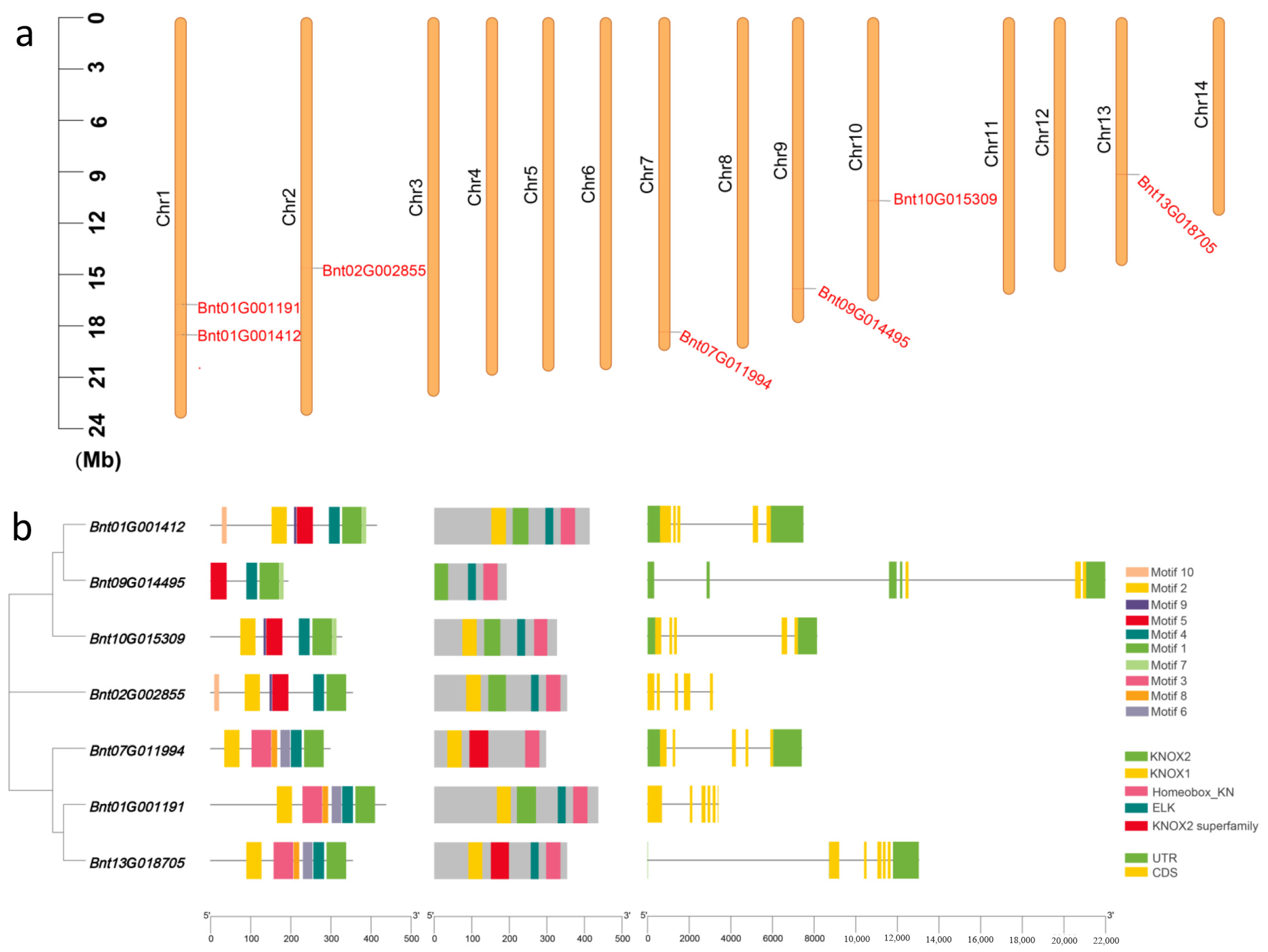 Agronomy 13 02297 g001