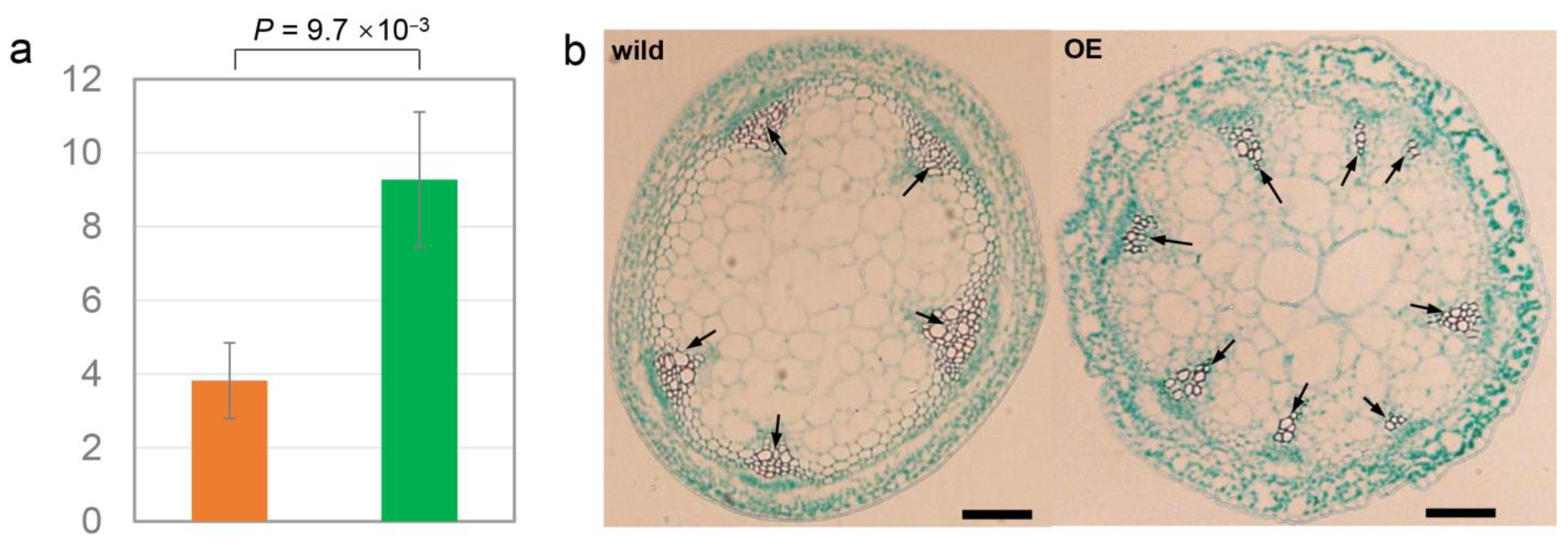 Agronomy 13 02297 g003