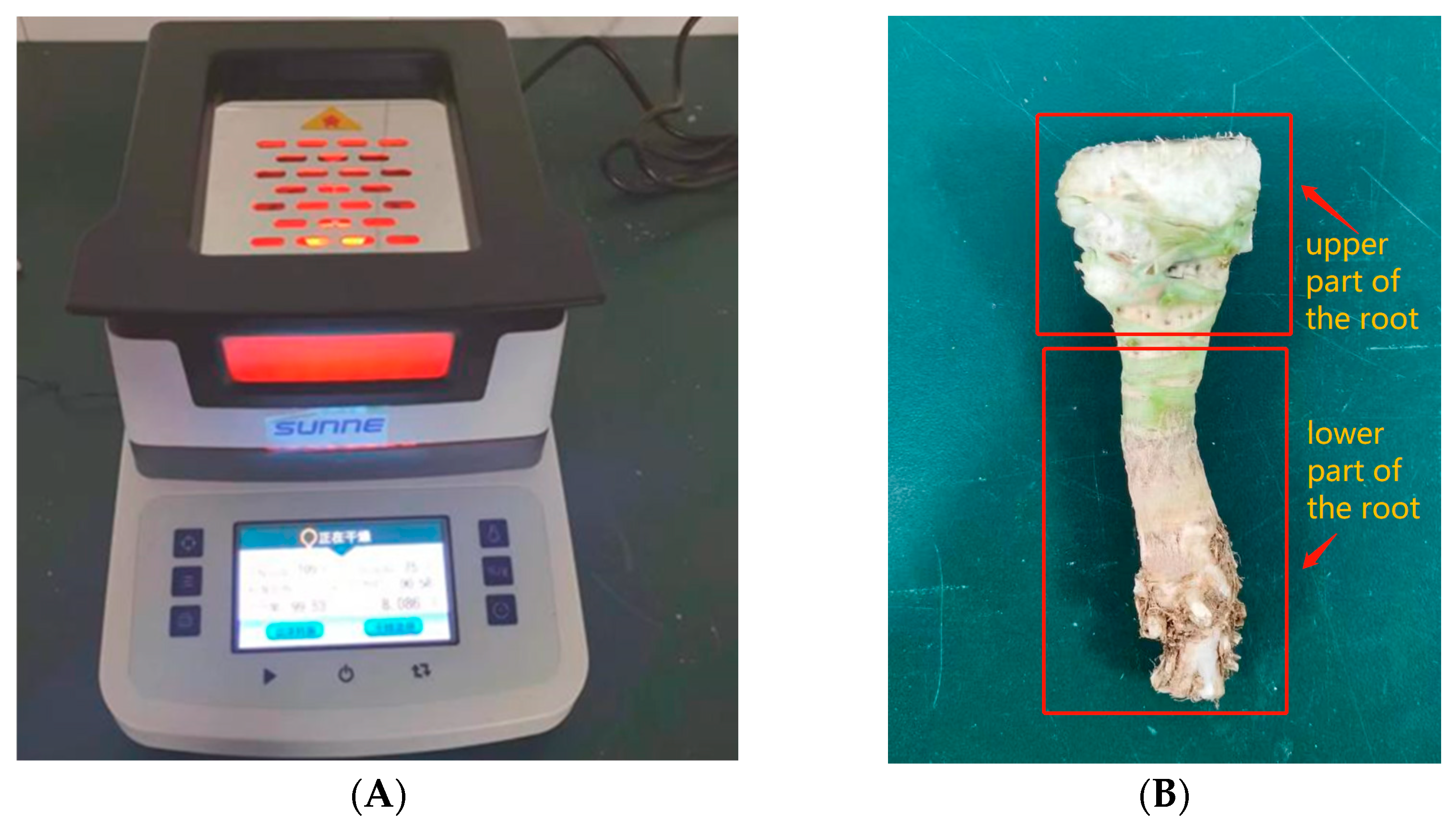 Agronomy 13 02298 g002