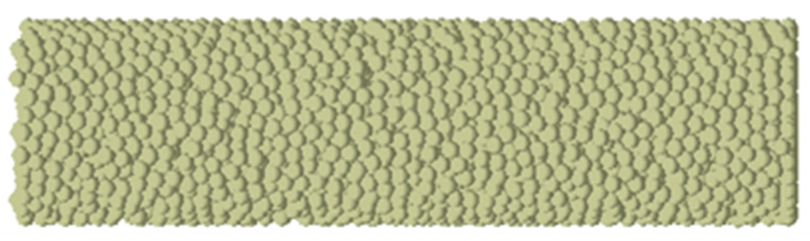 Agronomy 13 02298 g006