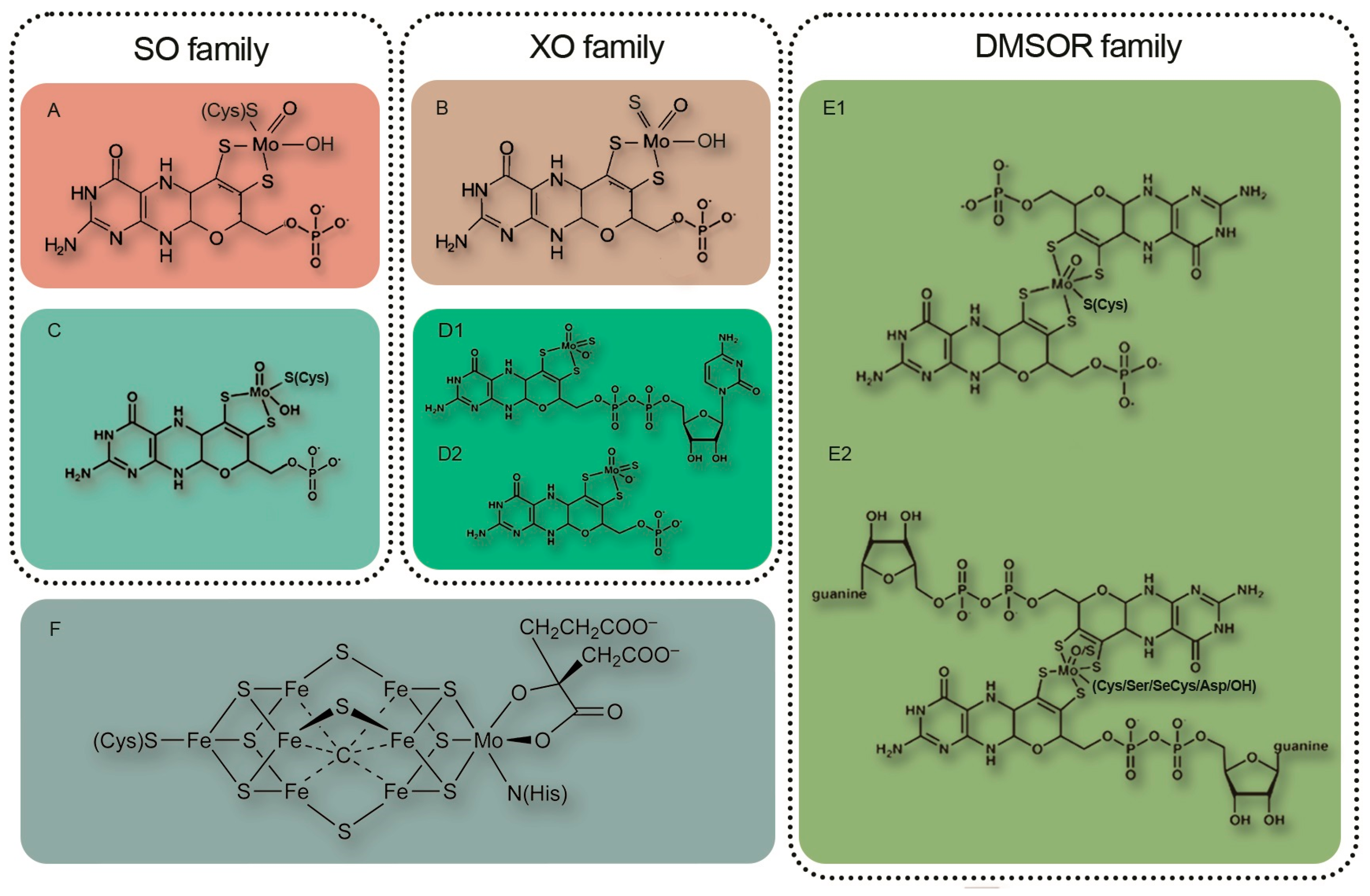 Agronomy 13 02300 g001