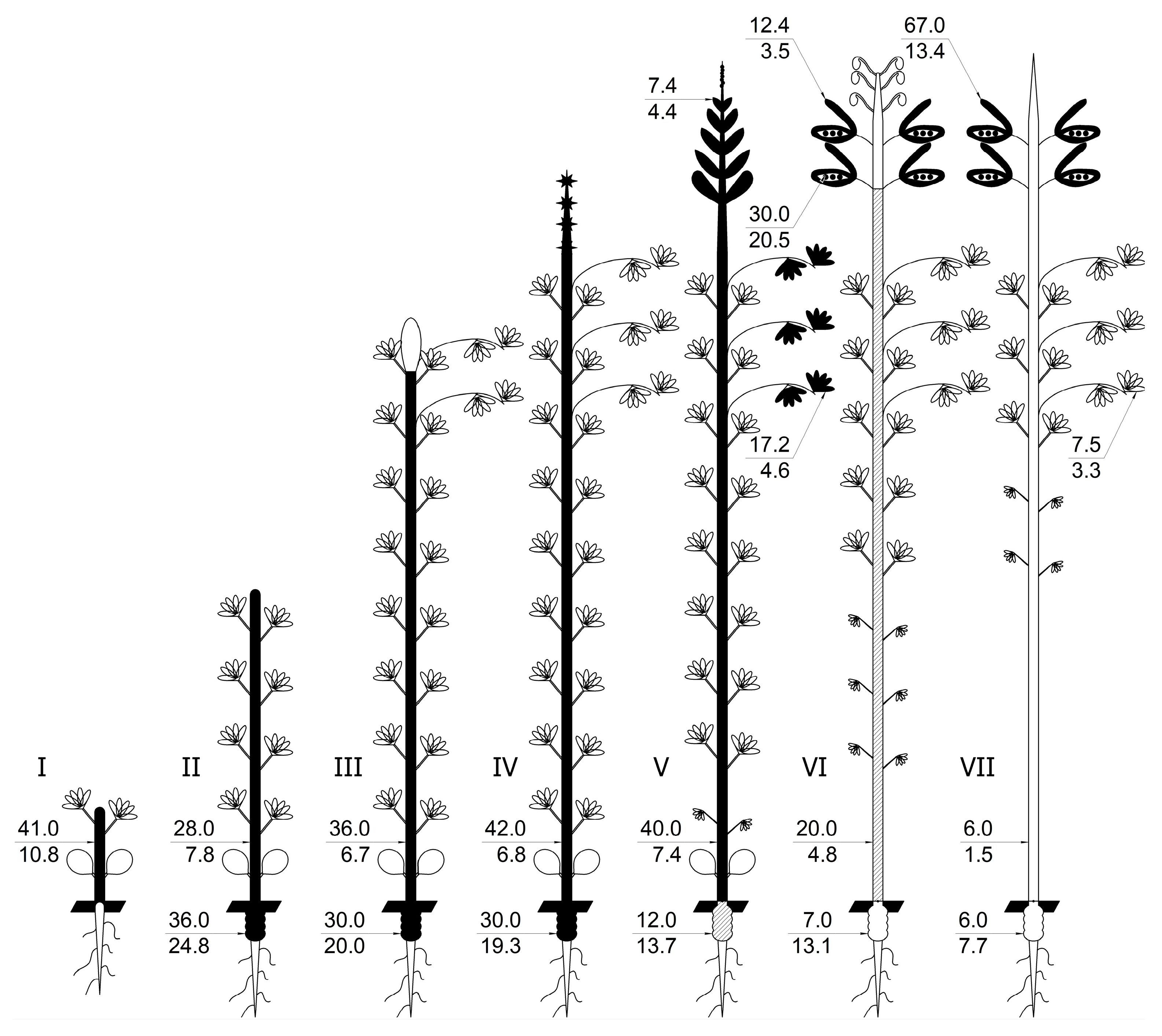 Agronomy 13 02300 g003