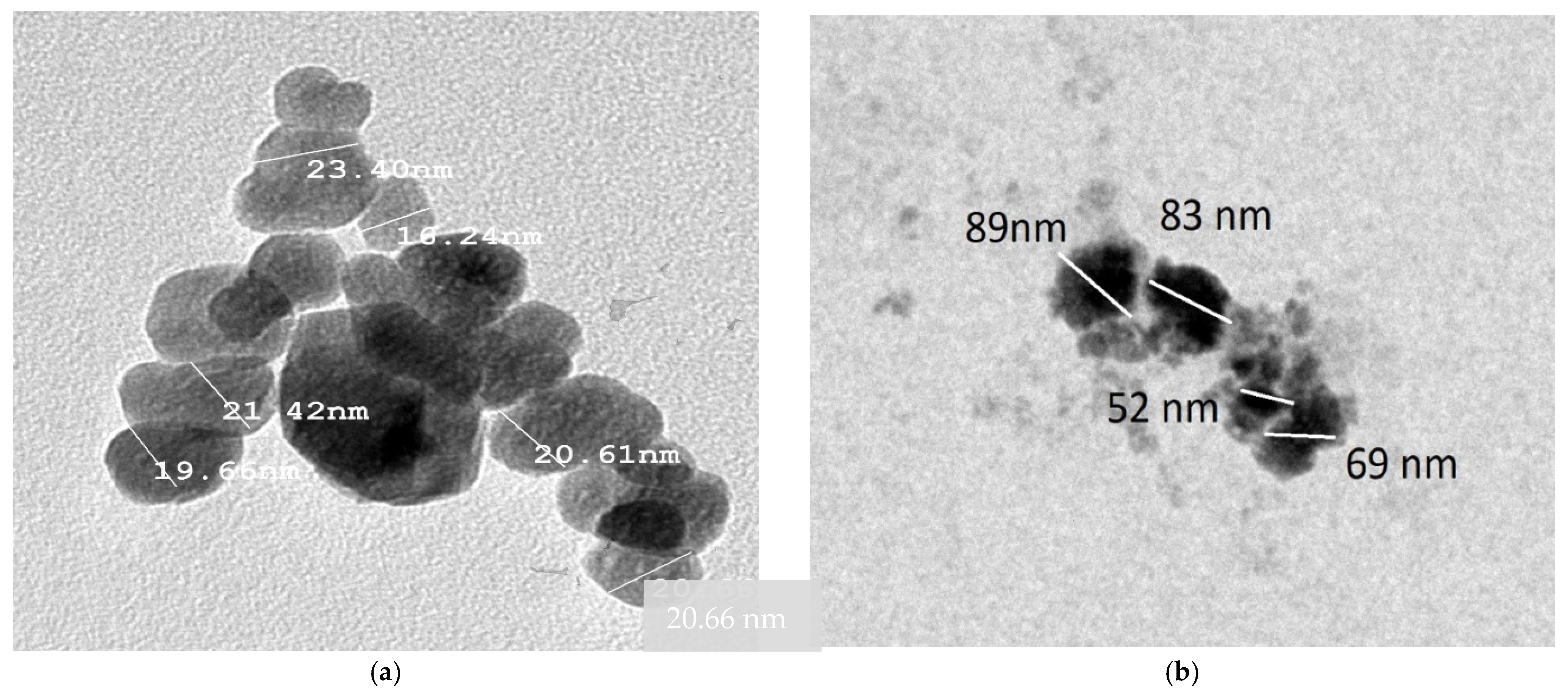 Agronomy 13 02305 g001 Agronomy 13 02305 g001