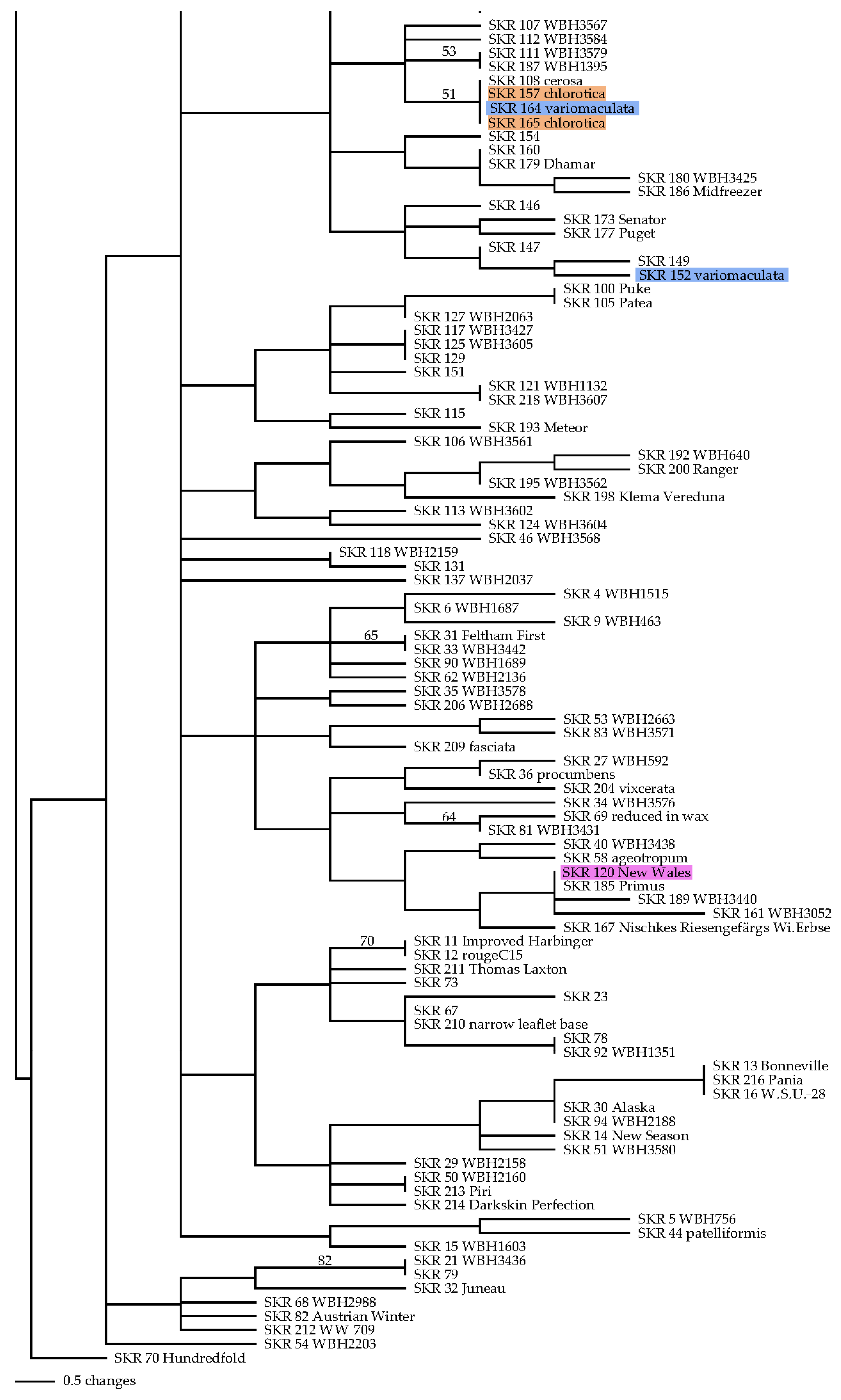 Agronomy 13 02307 g003b Agronomy 13 02307 g003b