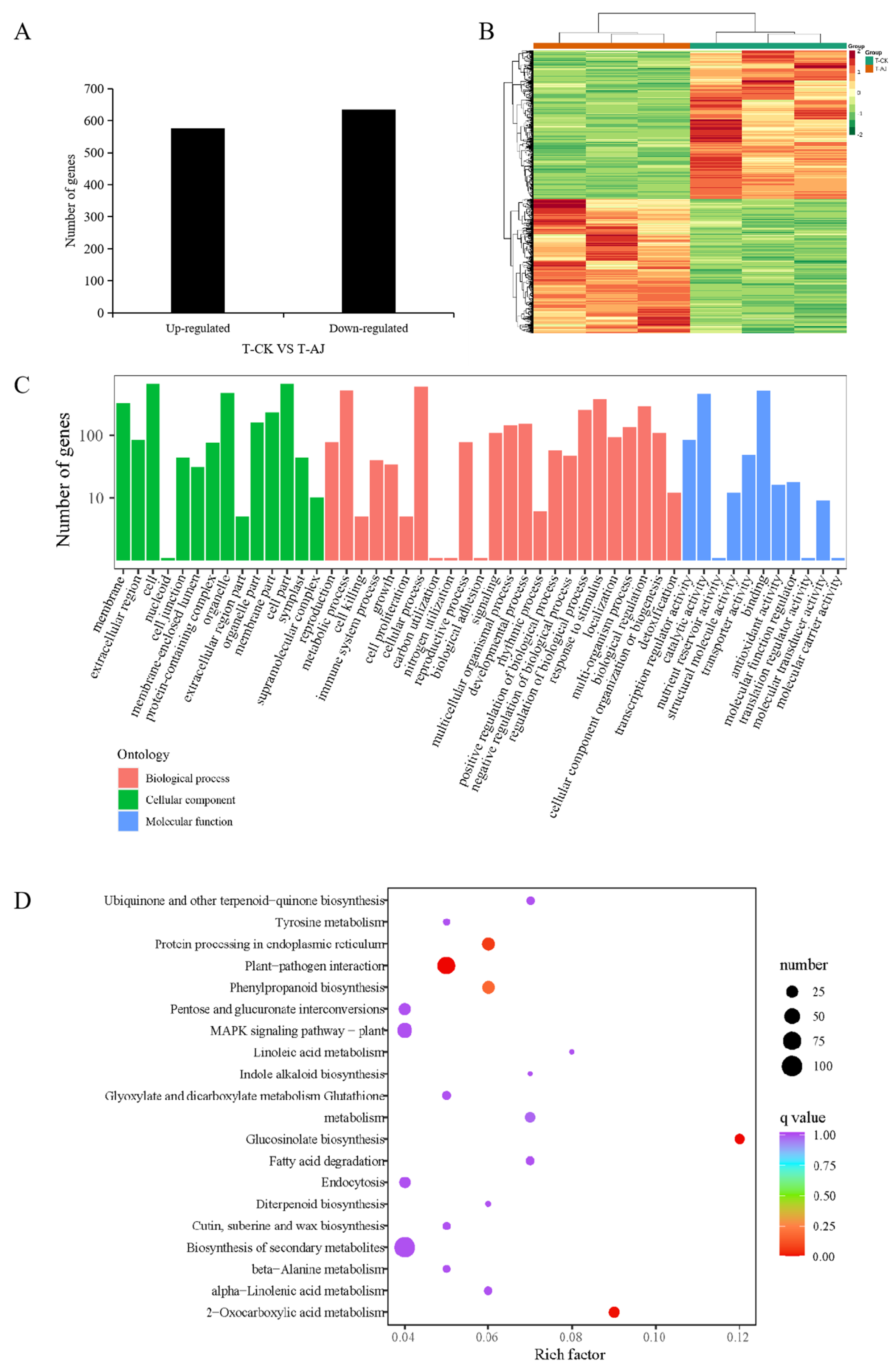 Agronomy 13 02310 g004