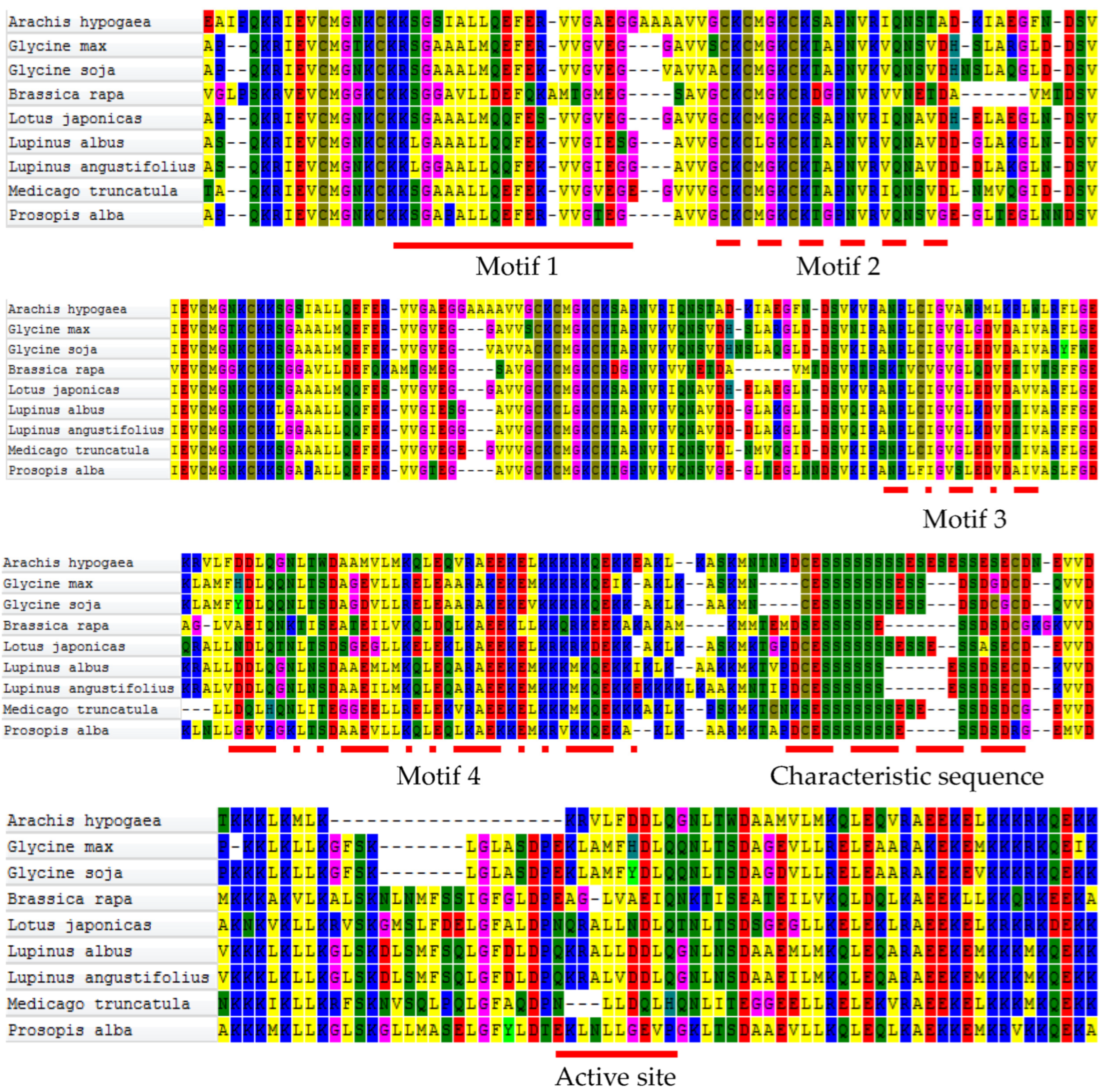 Agronomy 13 02333 g001